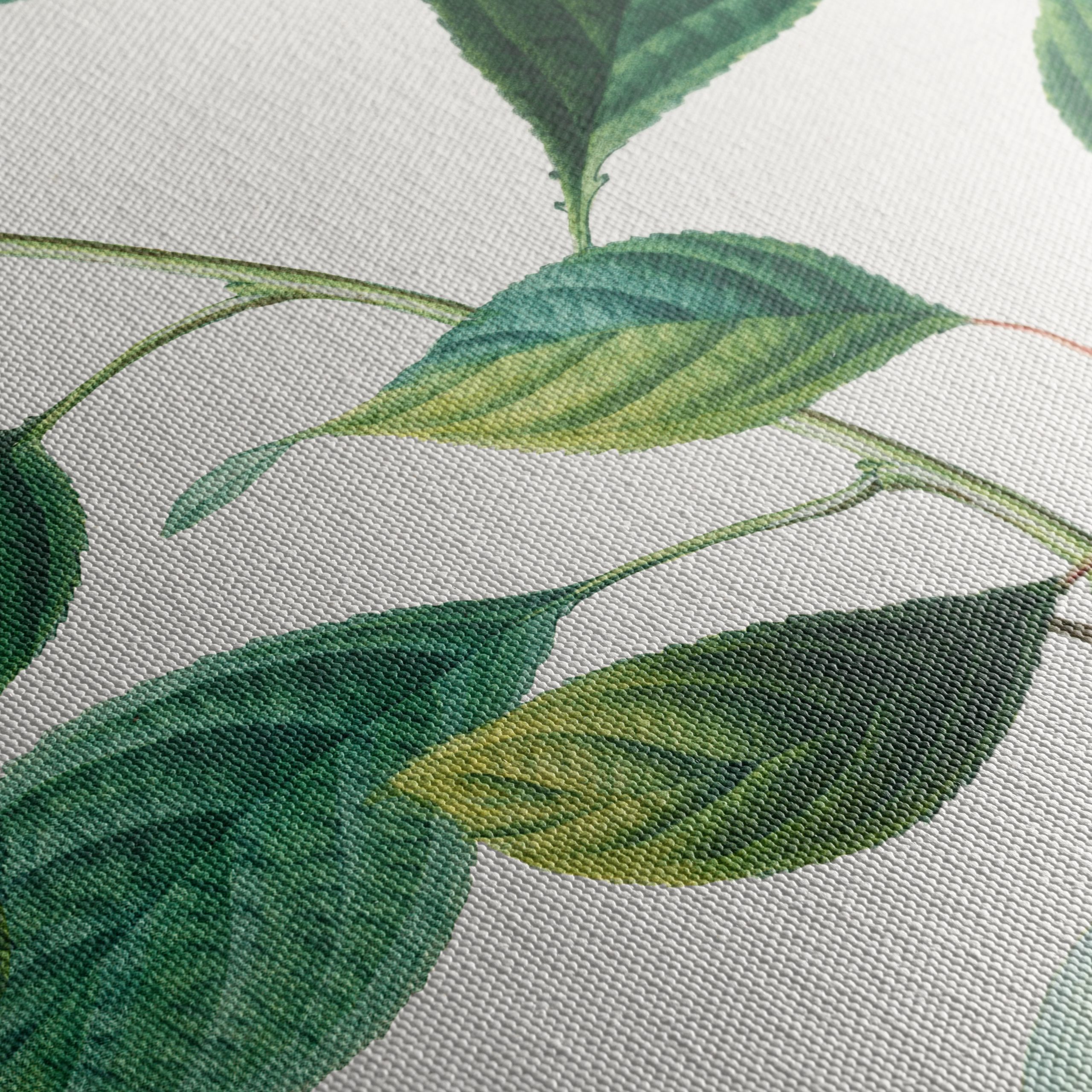 Beautiful Botanical Illustration of Plums - Image 5