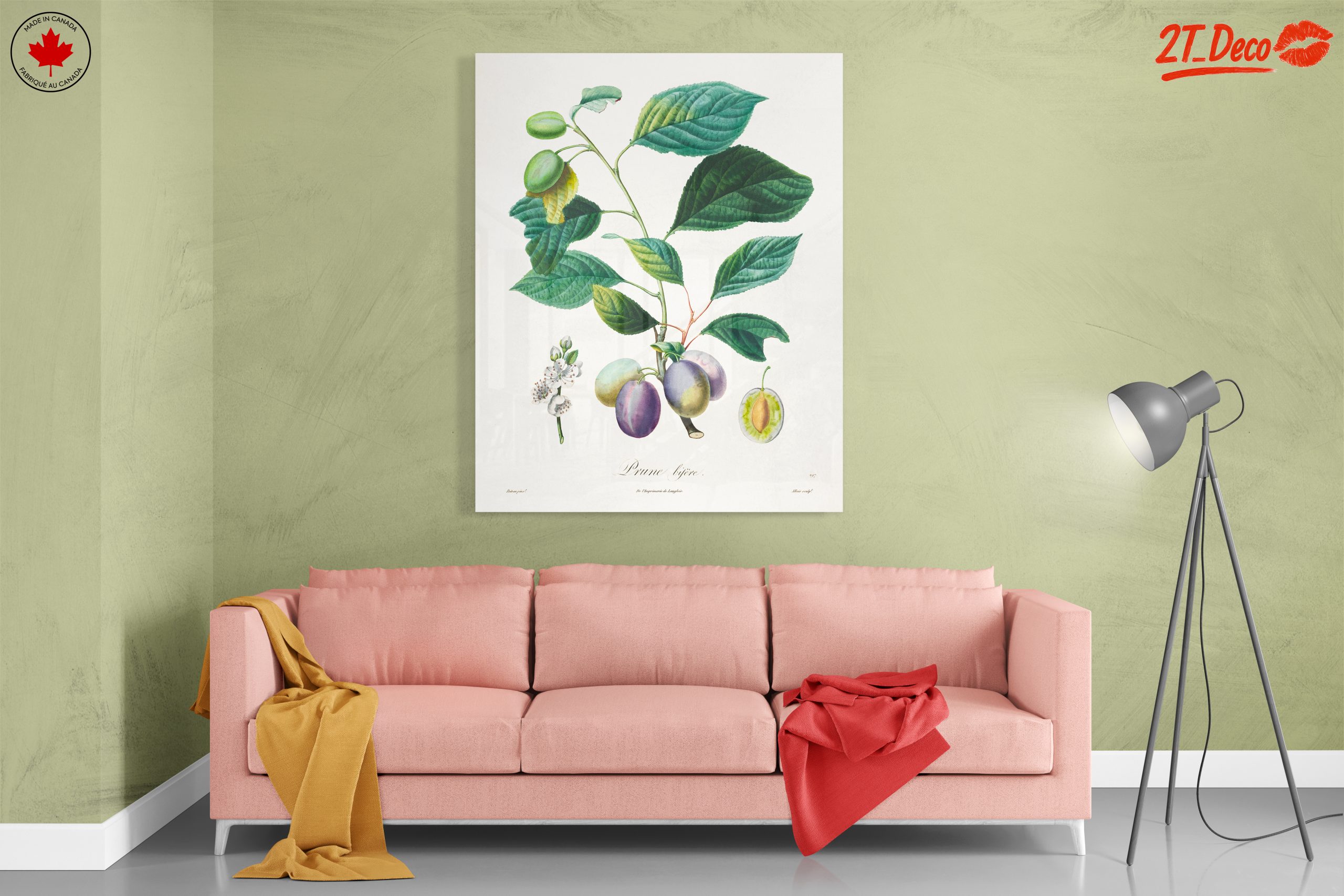 Beautiful Botanical Illustration of Plums - Image 7