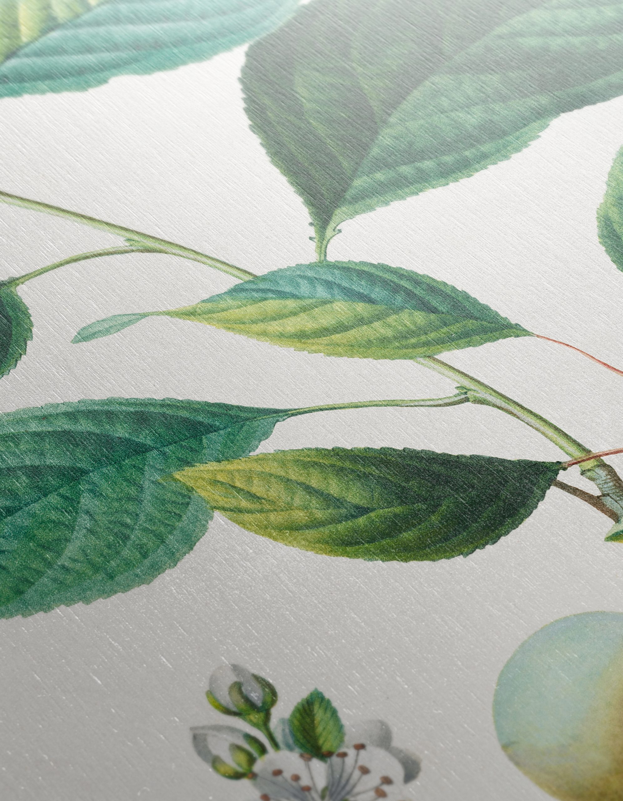 Beautiful Botanical Illustration of Plums - Image 12