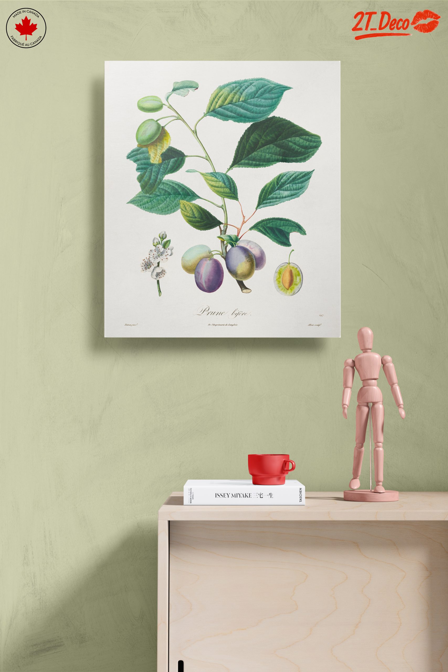 Beautiful Botanical Illustration of Plums - Image 14