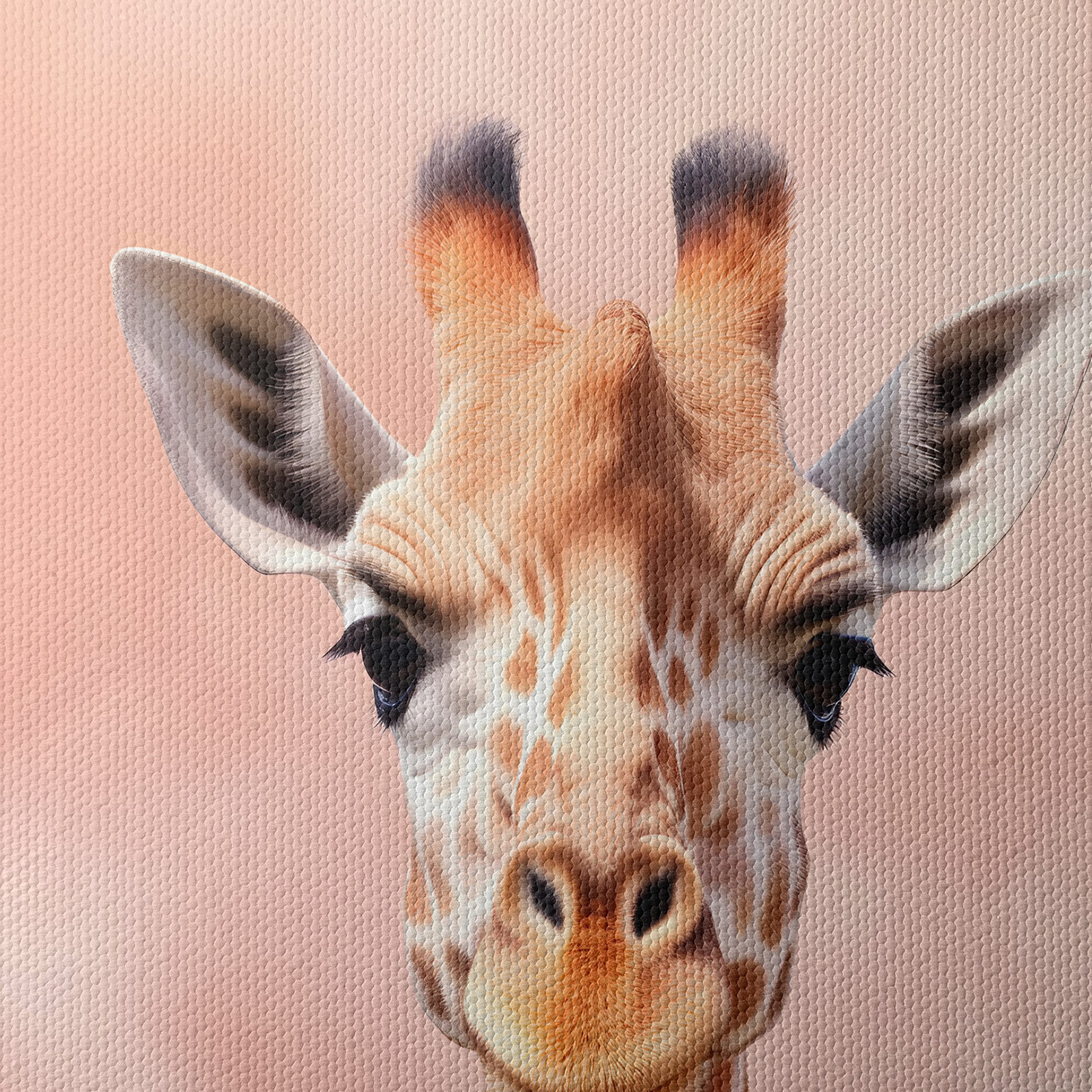 Cute Giraffe Portrait in Gentle Pink Background - Image 4