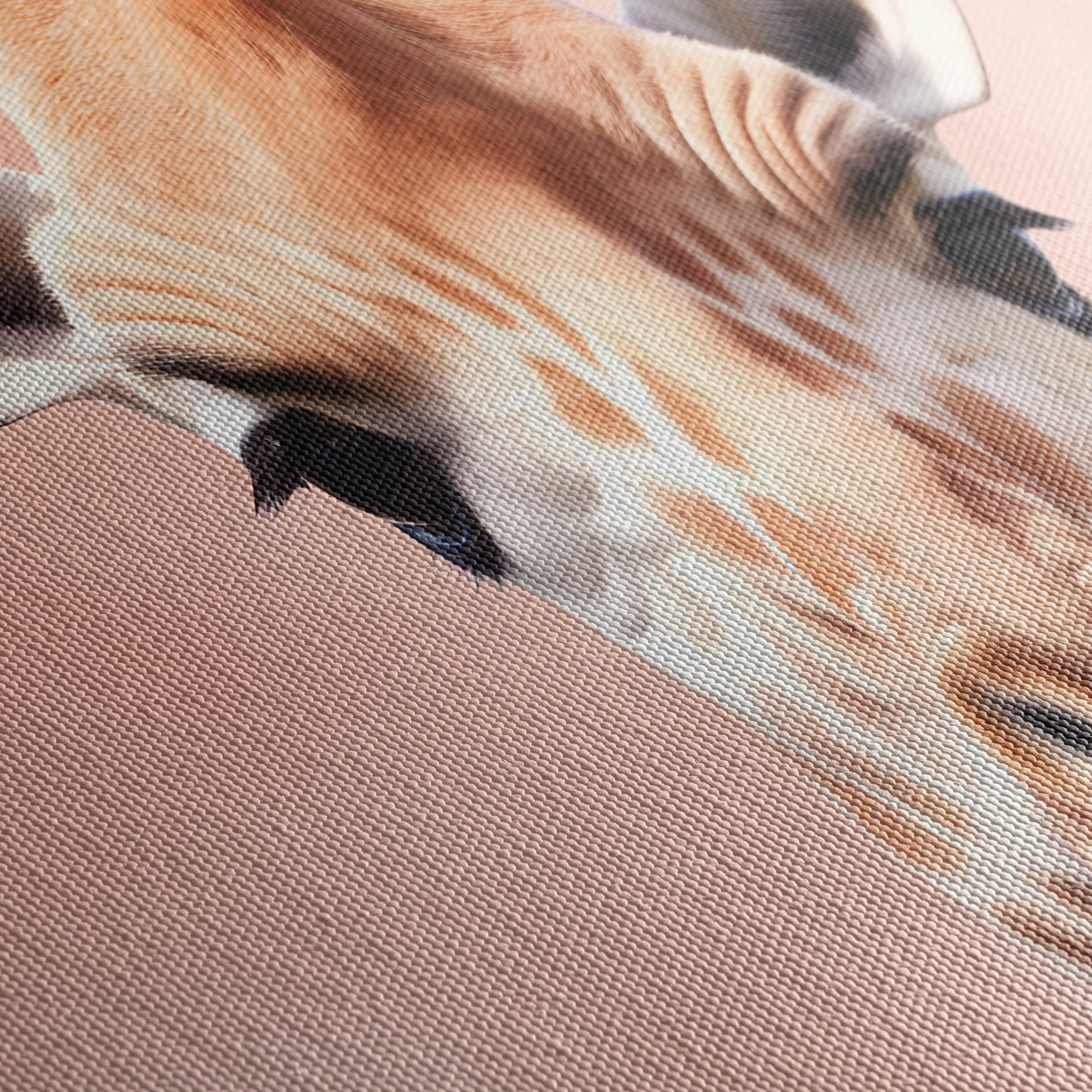Cute Giraffe Portrait in Gentle Pink Background - Image 5
