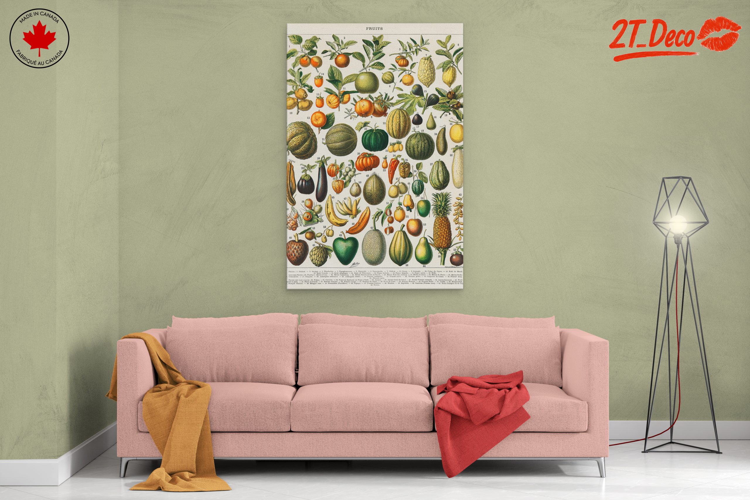 Detailed Botanical Illustration of Fruits 2 - Image 2