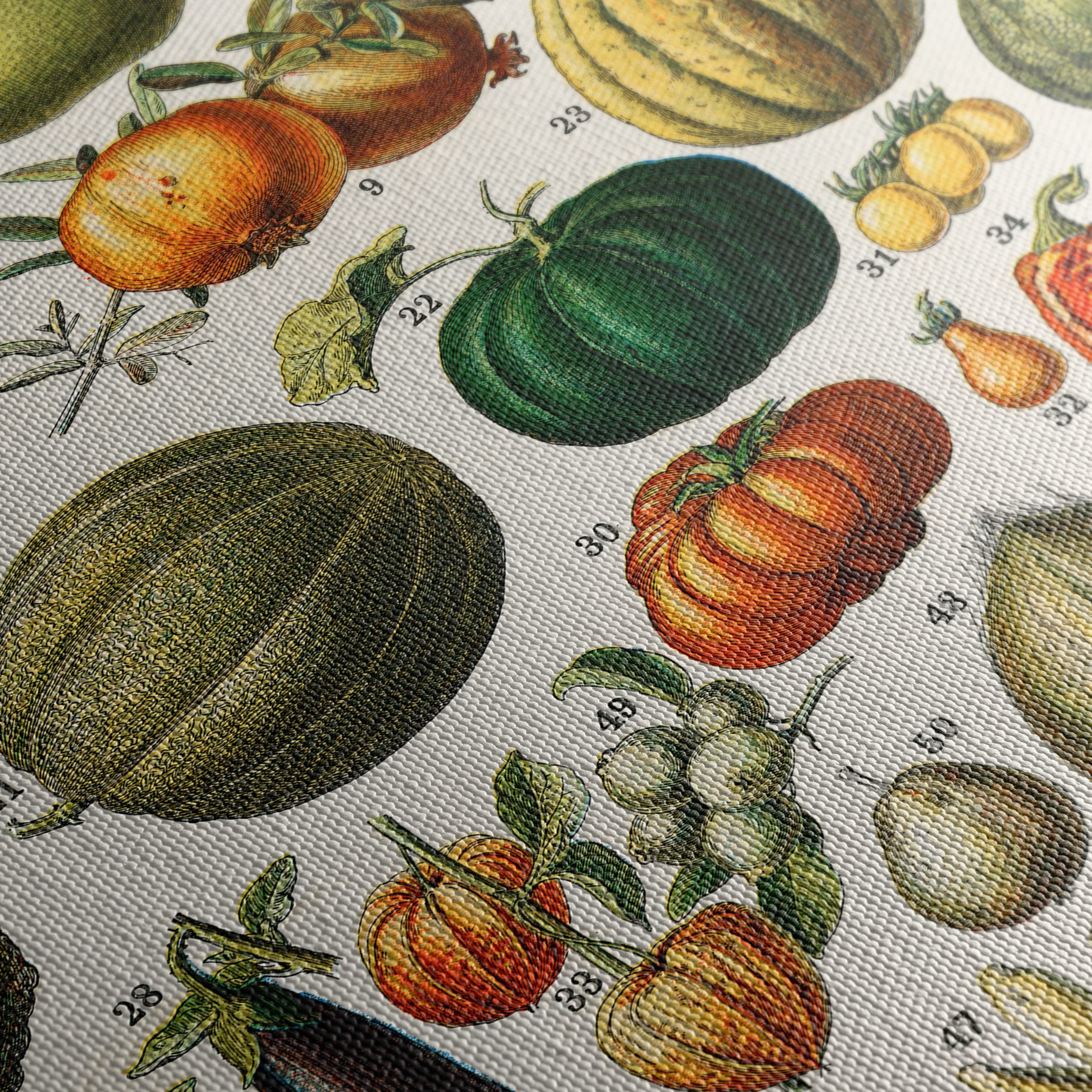 Detailed Botanical Illustration of Fruits 2 - Image 5