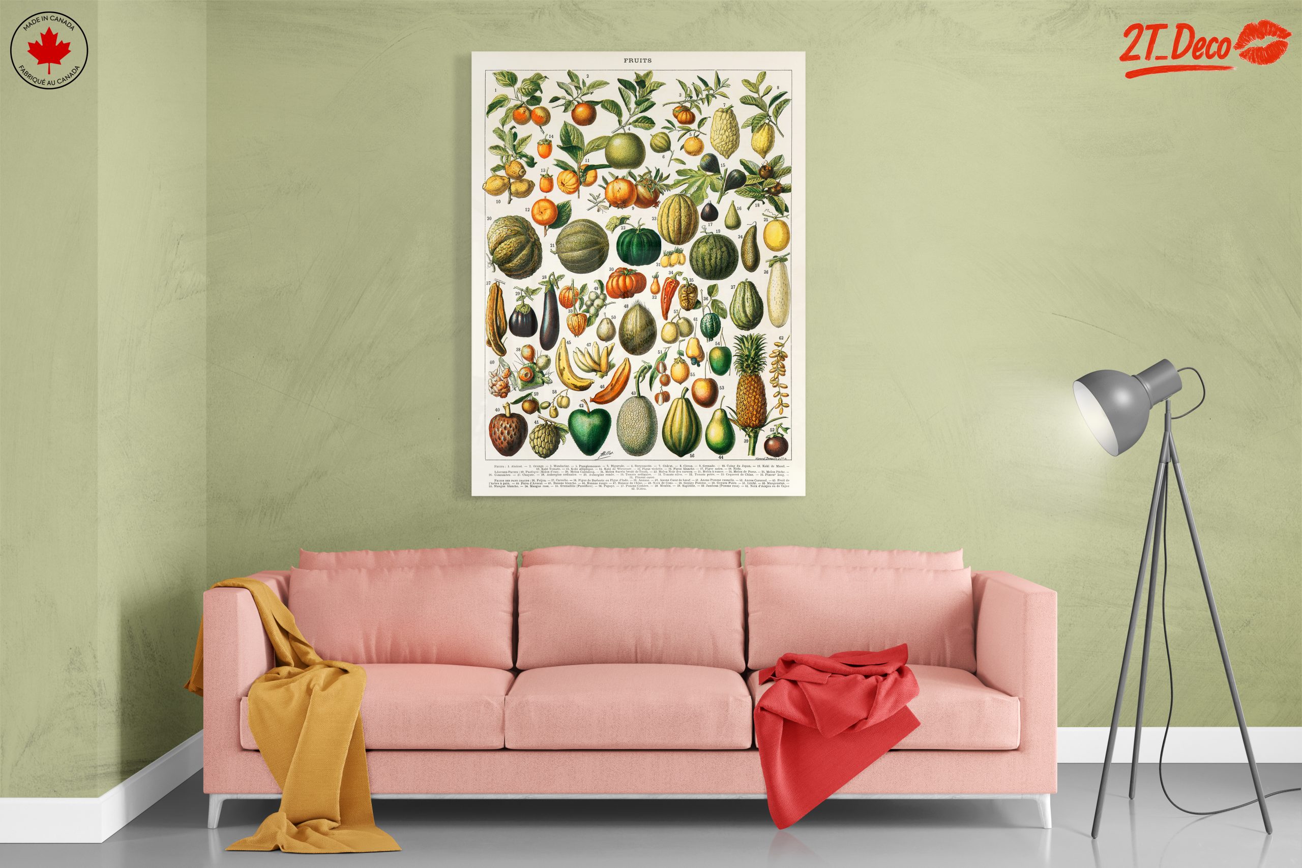 Detailed Botanical Illustration of Fruits 2 - Image 7