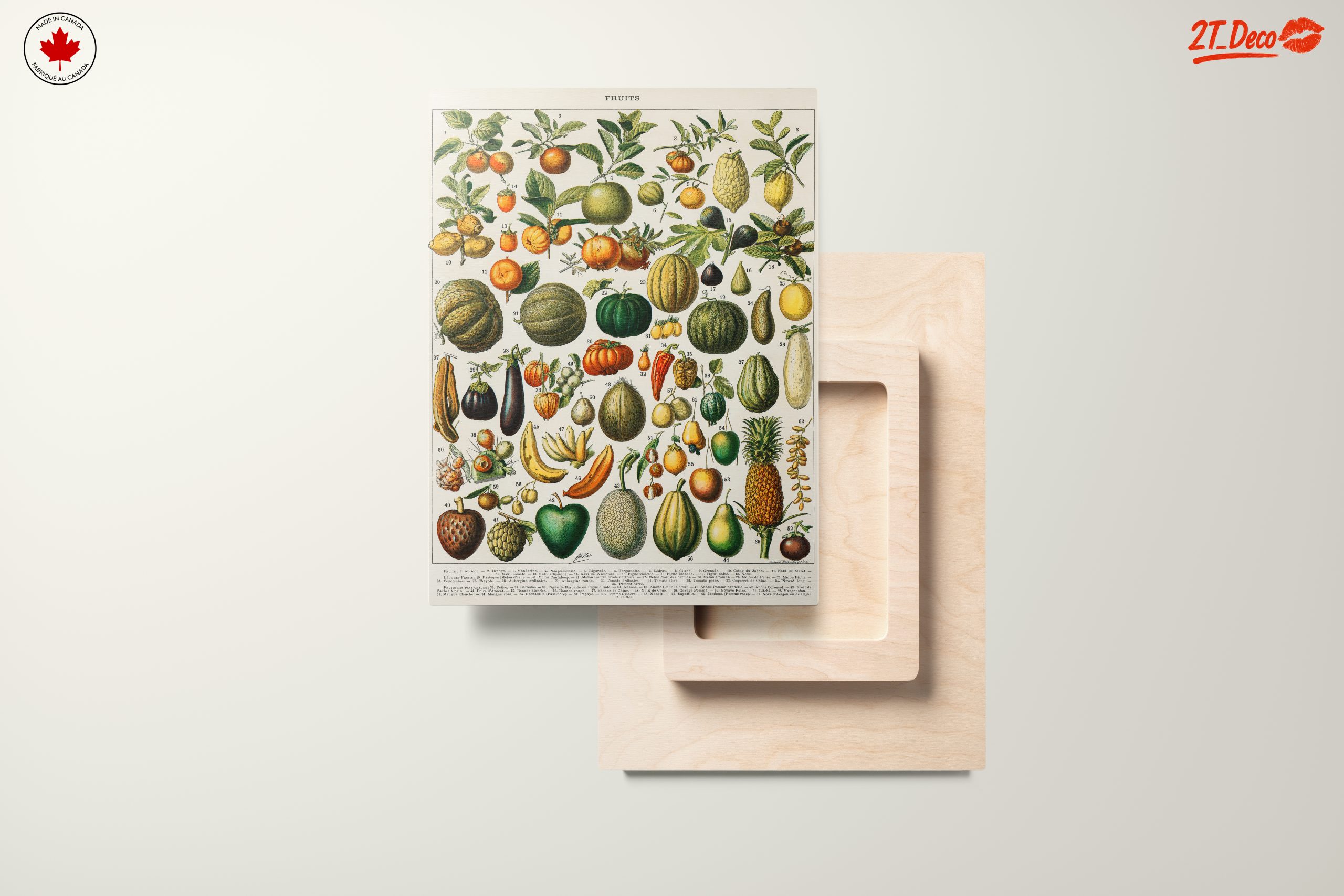Detailed Botanical Illustration of Fruits 2 - Image 11