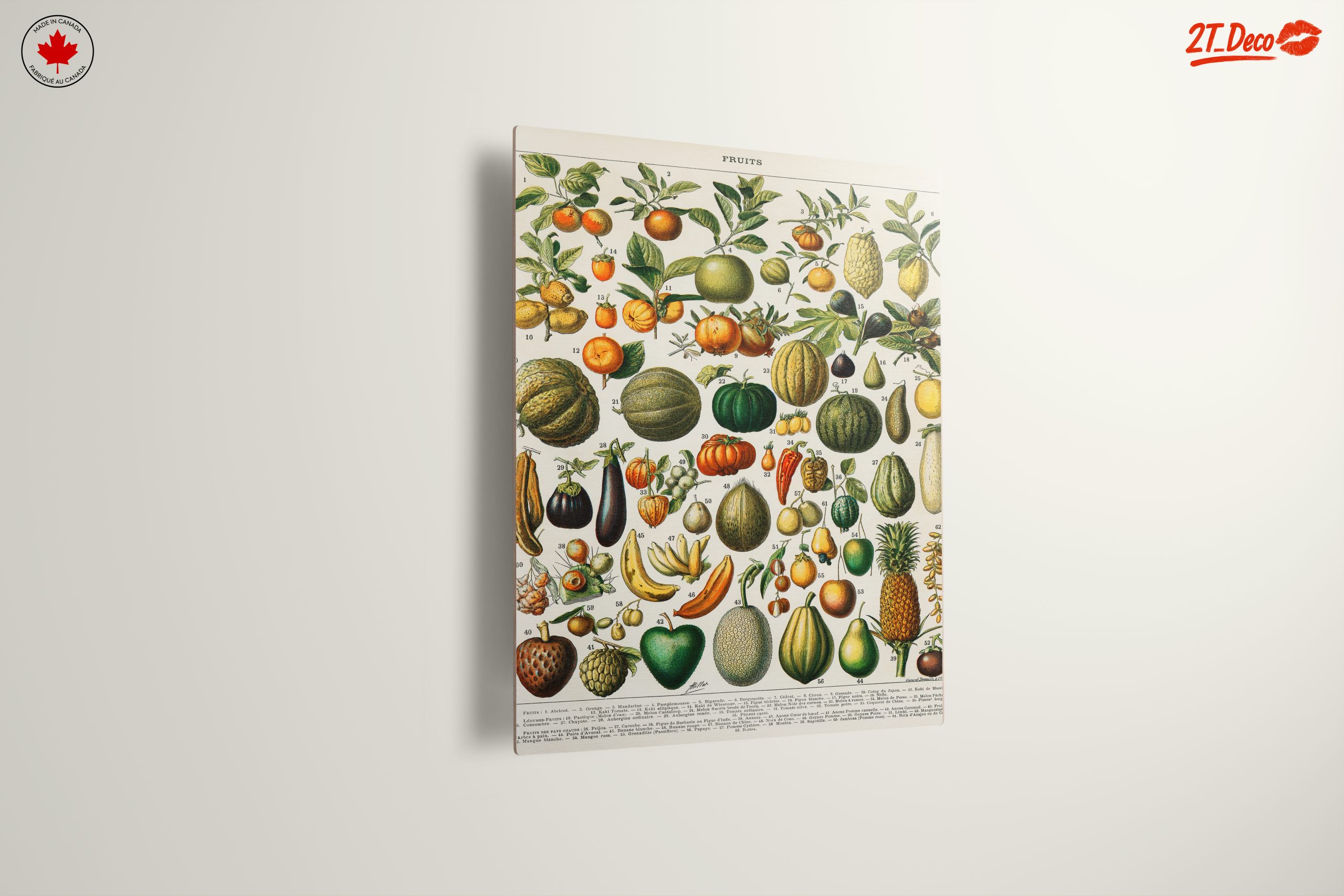 Detailed Botanical Illustration of Fruits 2 - Image 13