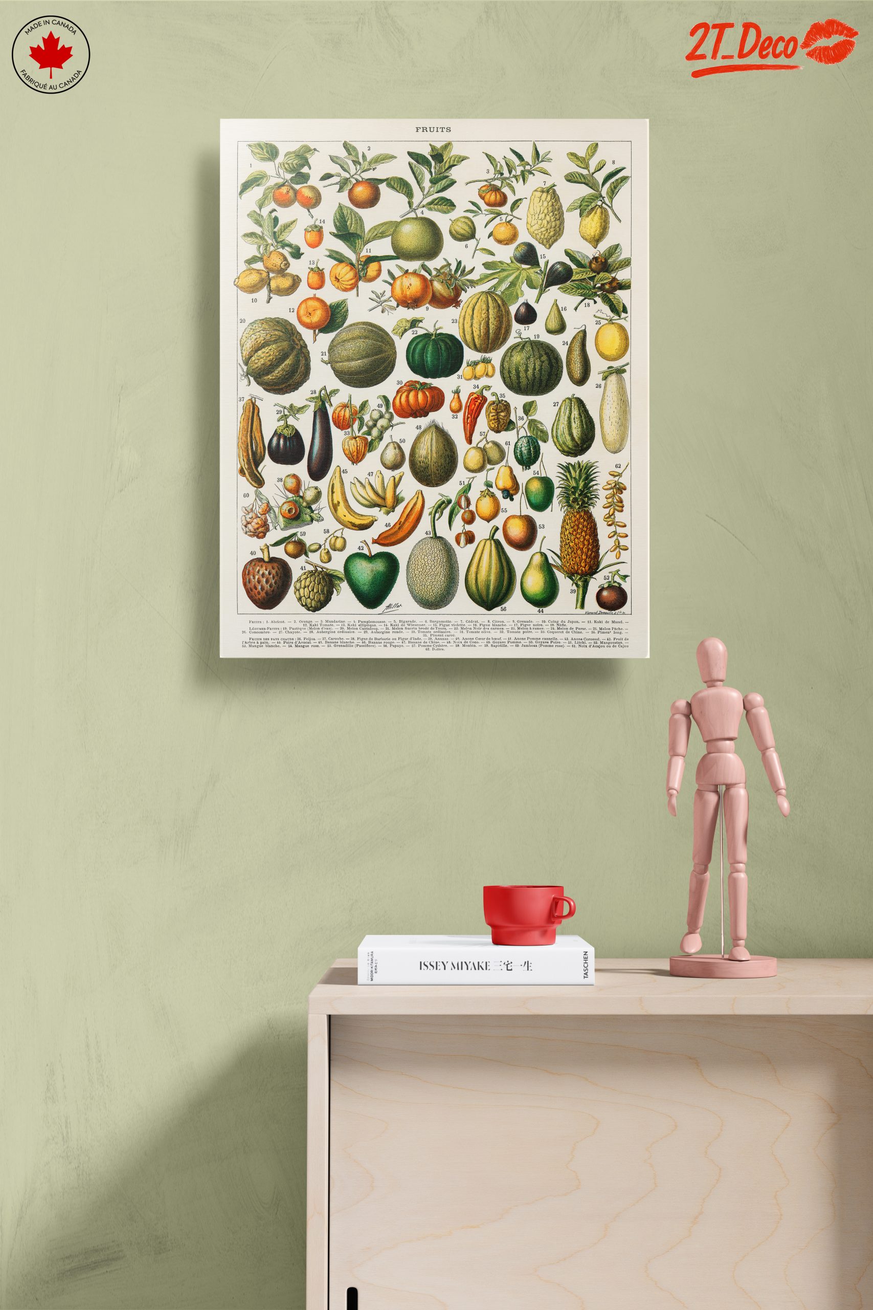 Detailed Botanical Illustration of Fruits 2 - Image 14