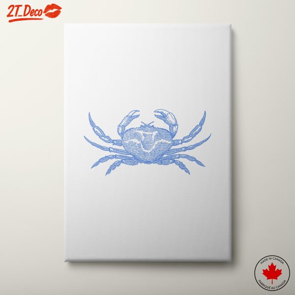 Stylized Anatomical Crab Art