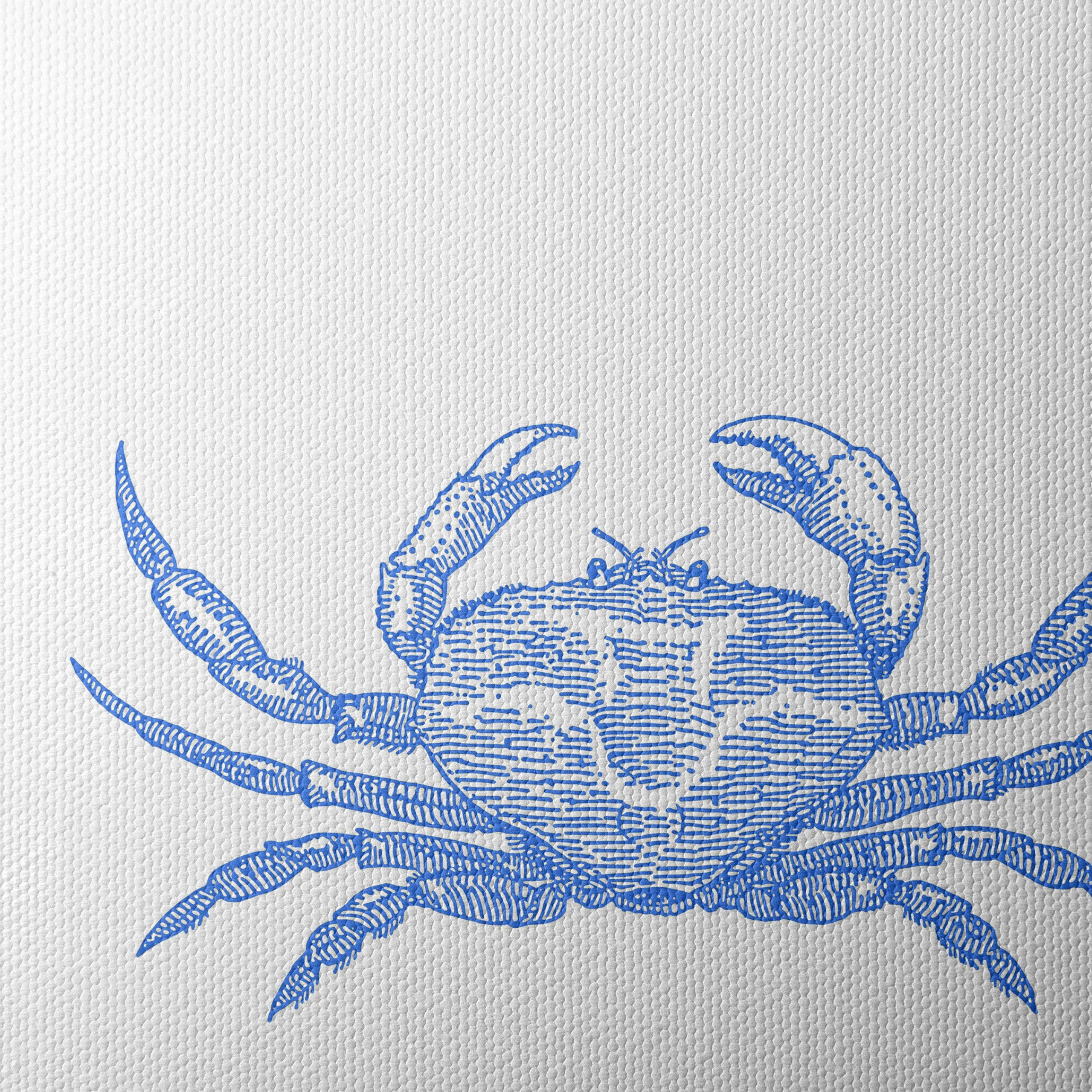 Stylized Anatomical Crab Art - Image 4