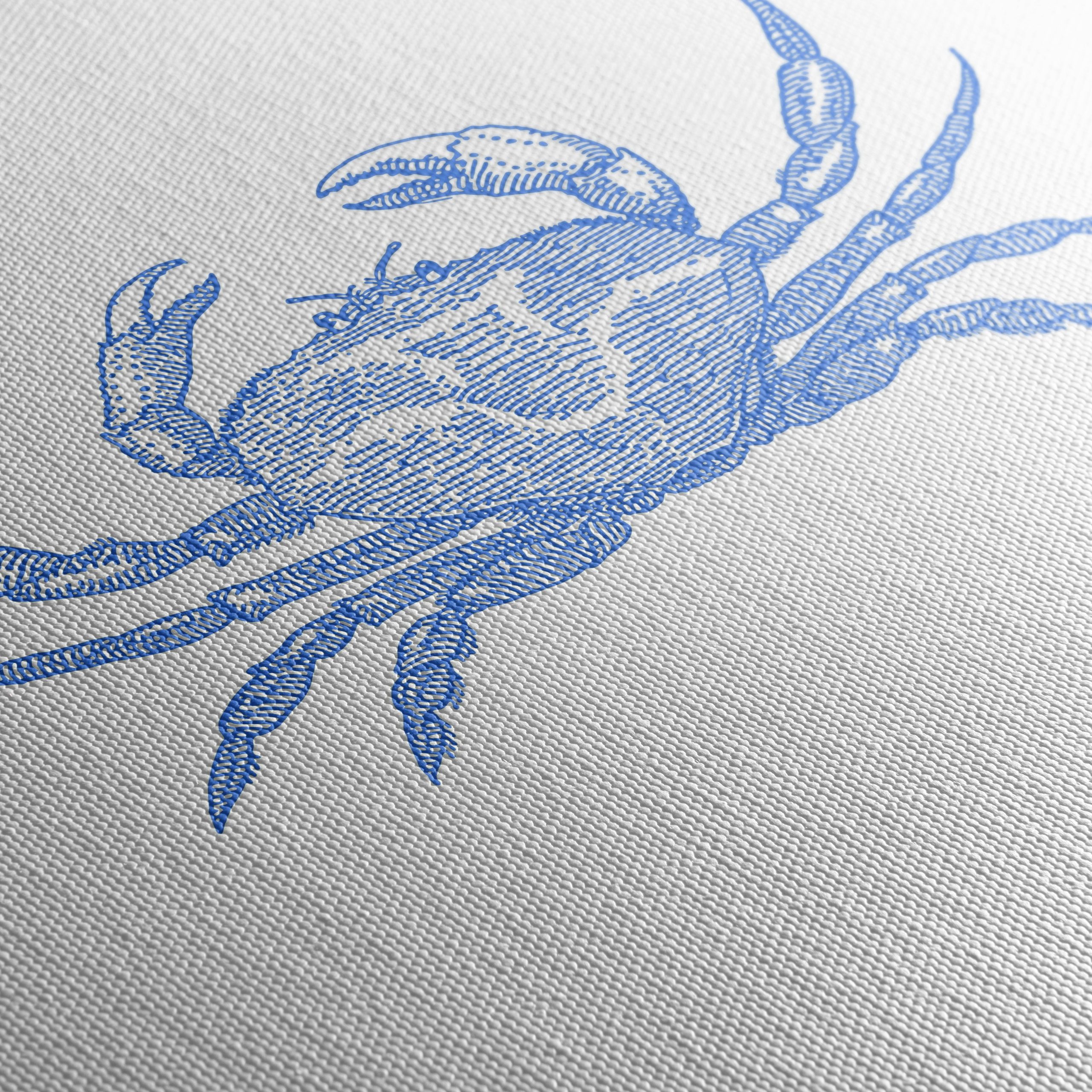 Stylized Anatomical Crab Art - Image 5