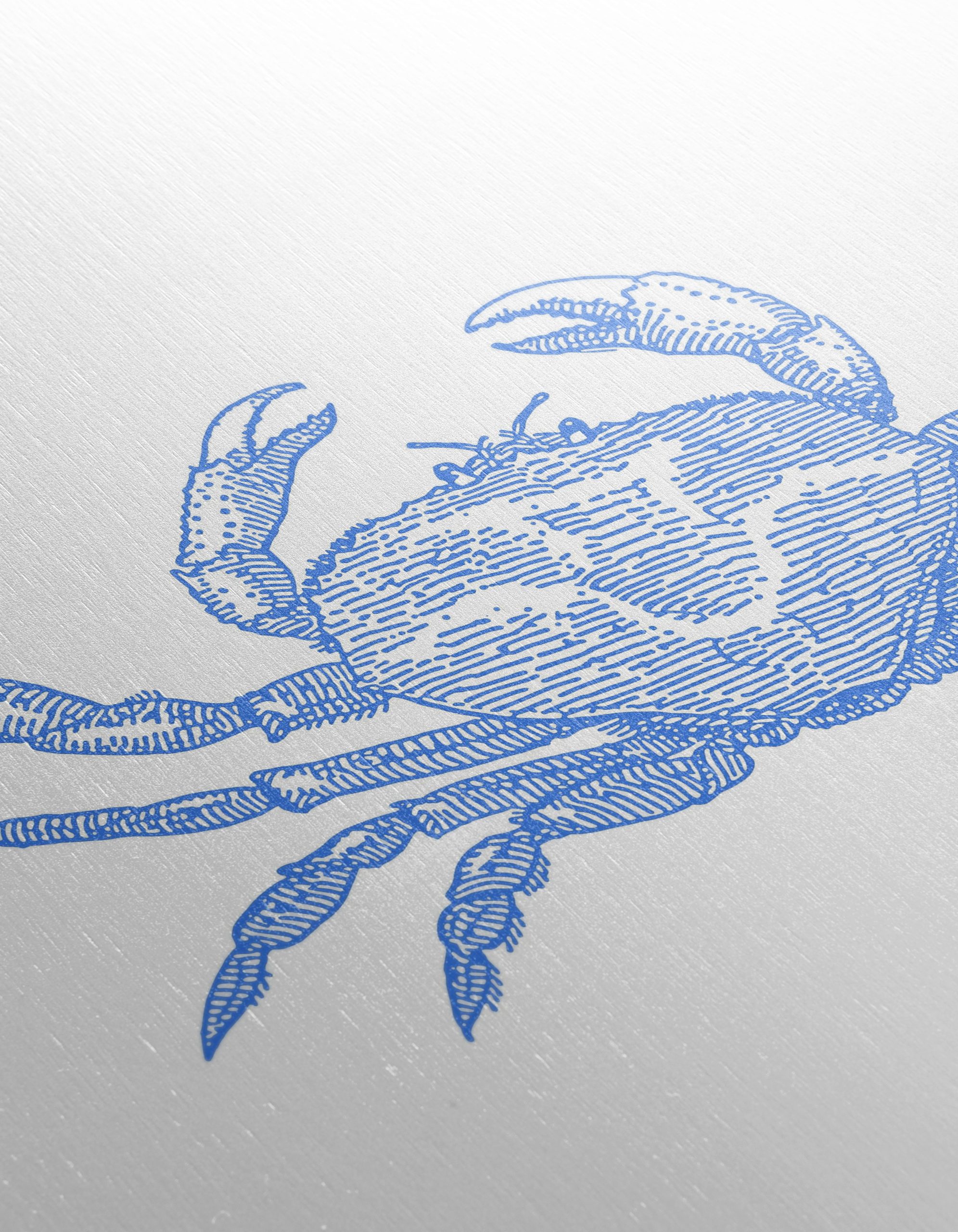 Stylized Anatomical Crab Art - Image 12