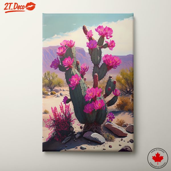 Vibrant Cactus Blossoms in Desert