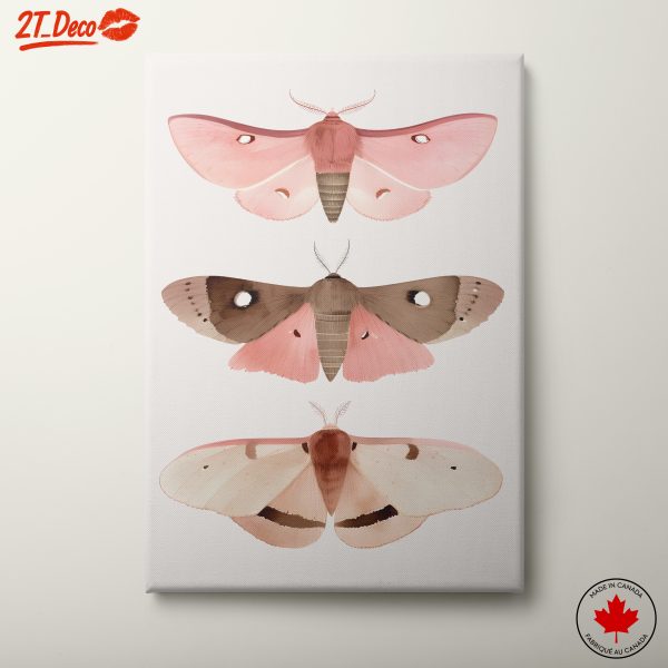 Elegant Moth Illustrations in Soft Pastels