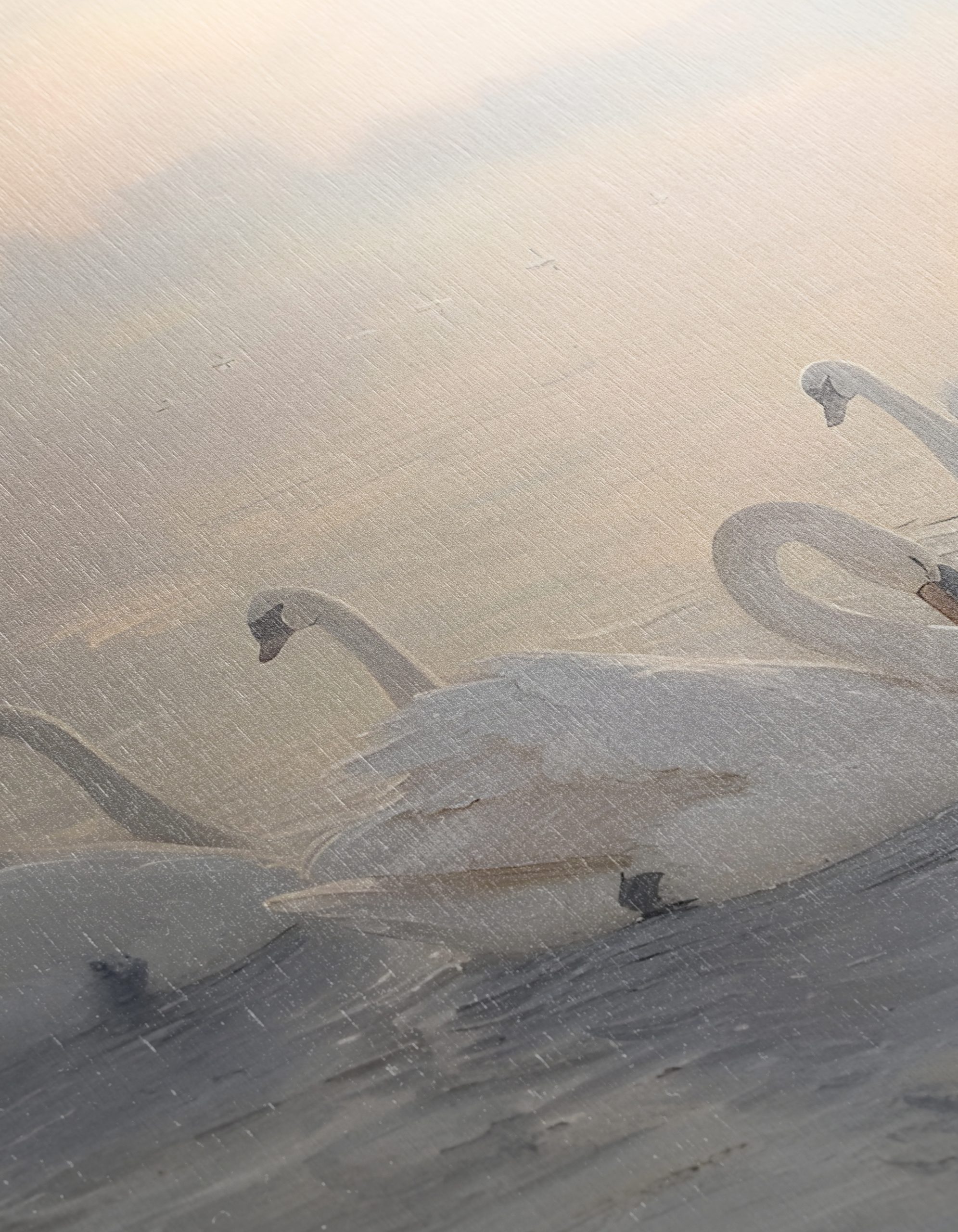 Swans on a Serene Lake at Sunset - Image 12