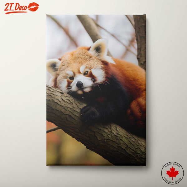 Adorable Red Panda Resting on a Branch