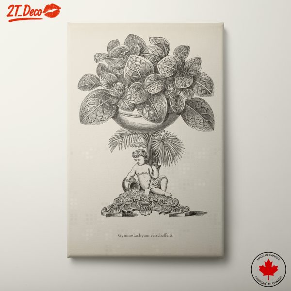 Vintage Botanical Illustration with Child