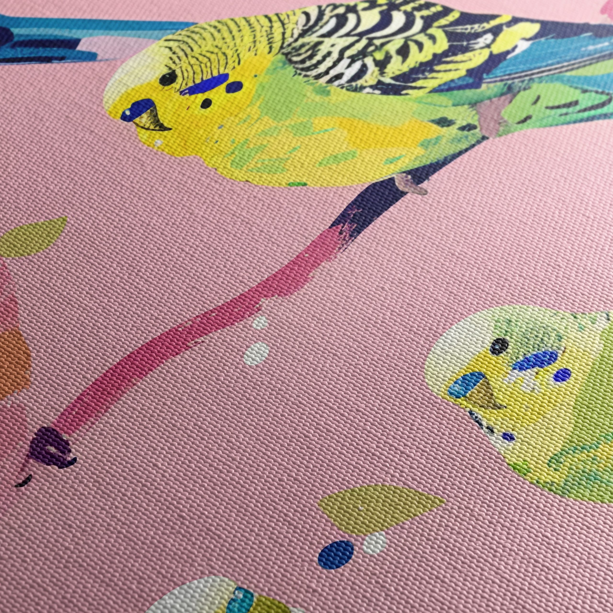 Colorful Budgerigars on Pink Background - Image 5