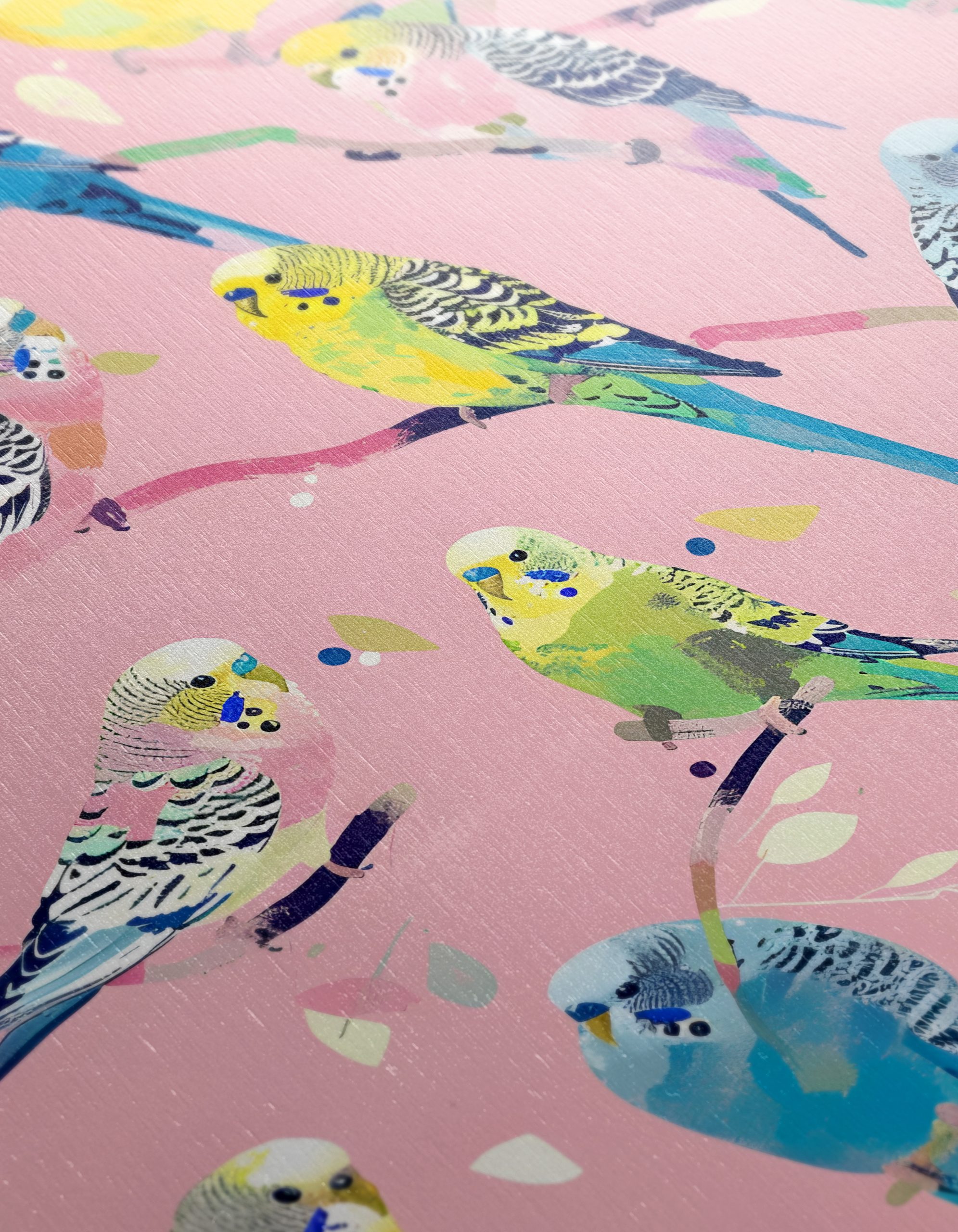Colorful Budgerigars on Pink Background - Image 12