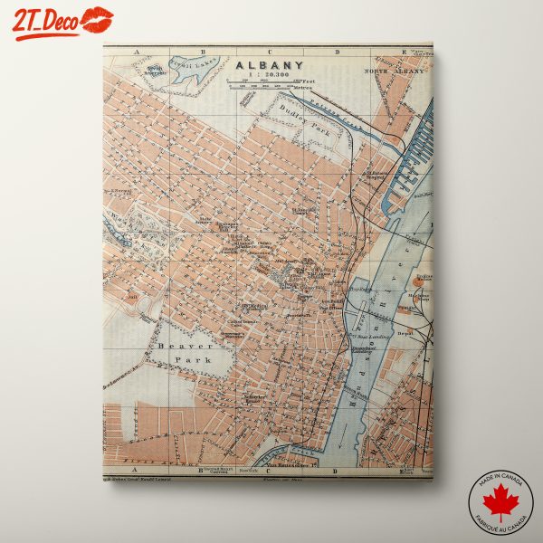 Albany City Map Art