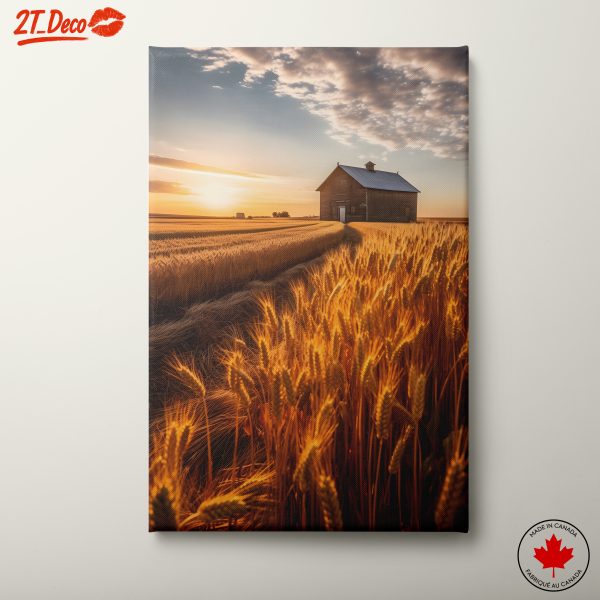 Barn at Sunset Over Wheat Field