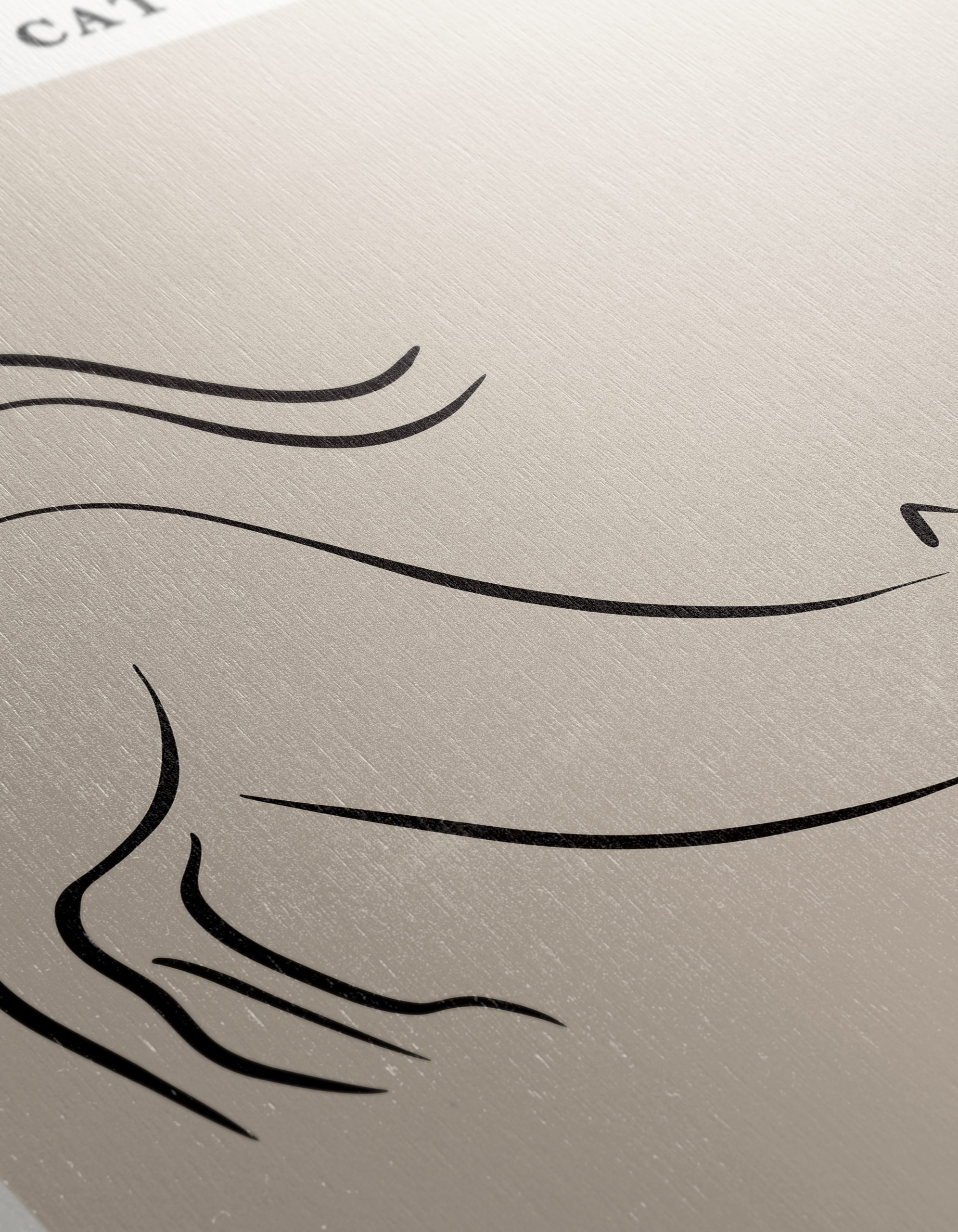 Stylized Portrait of Picasso the Cat - Image 12