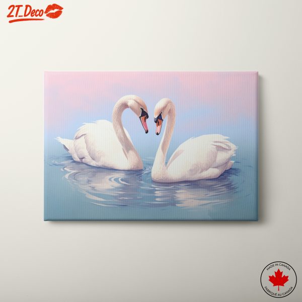 Serene Swans in Tranquil Waters