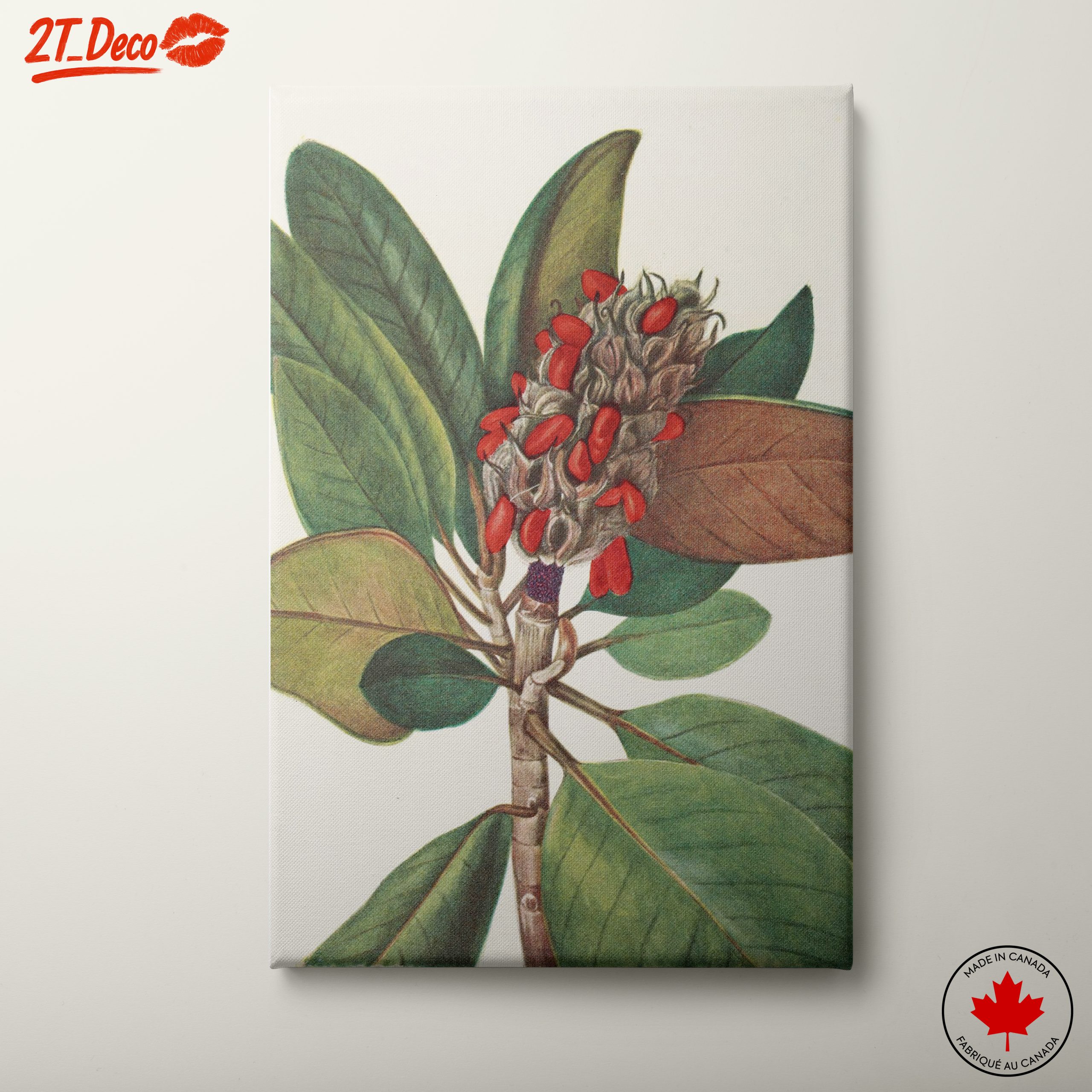 Beautiful Botanical Illustration of Leaves and Seeds