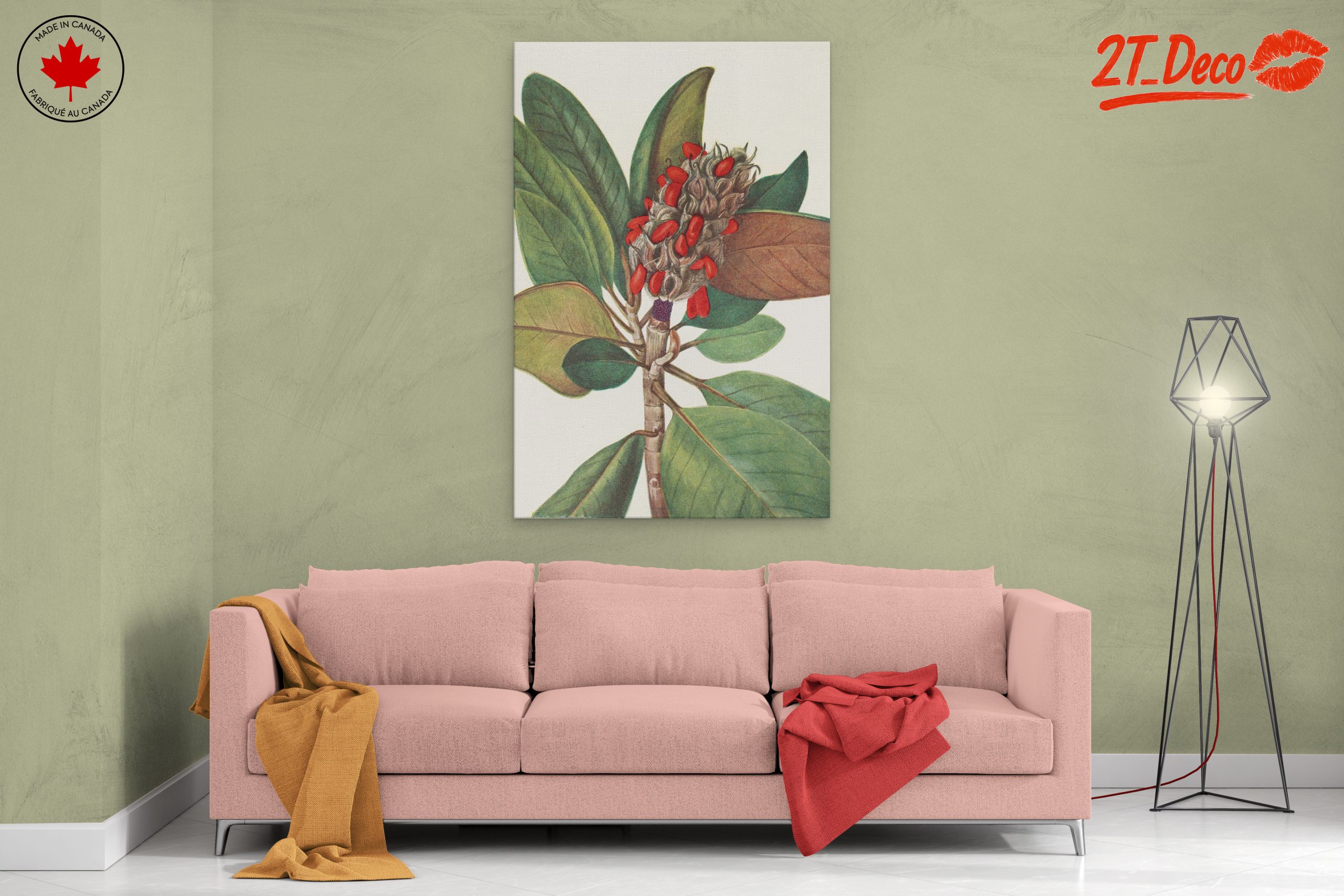 Beautiful Botanical Illustration of Leaves and Seeds - Image 2