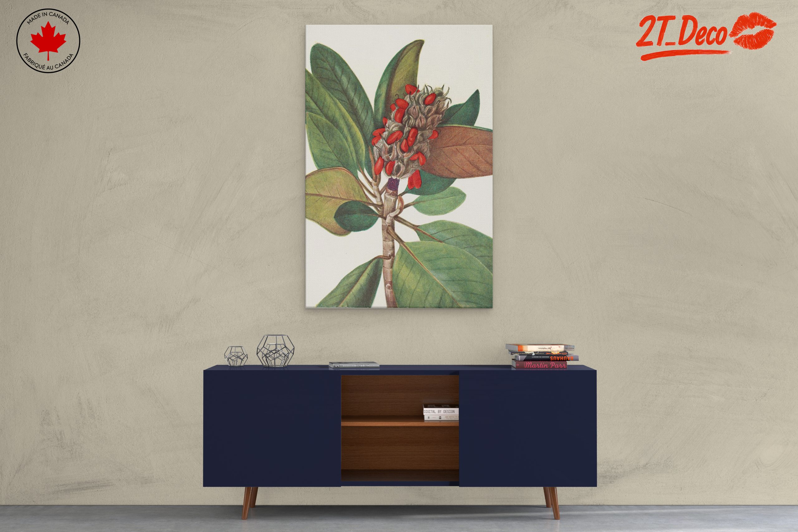 Beautiful Botanical Illustration of Leaves and Seeds - Image 3