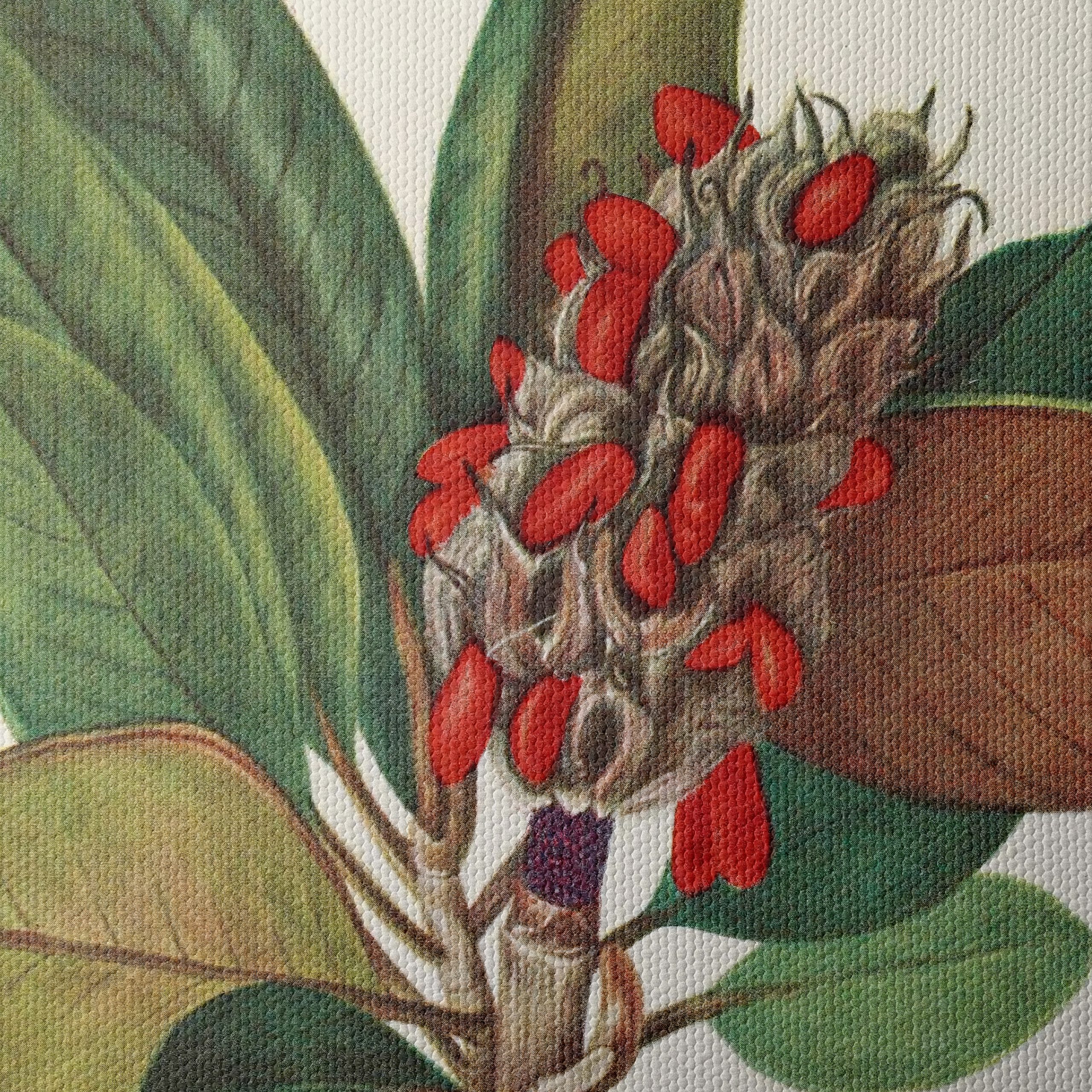 Beautiful Botanical Illustration of Leaves and Seeds - Image 4