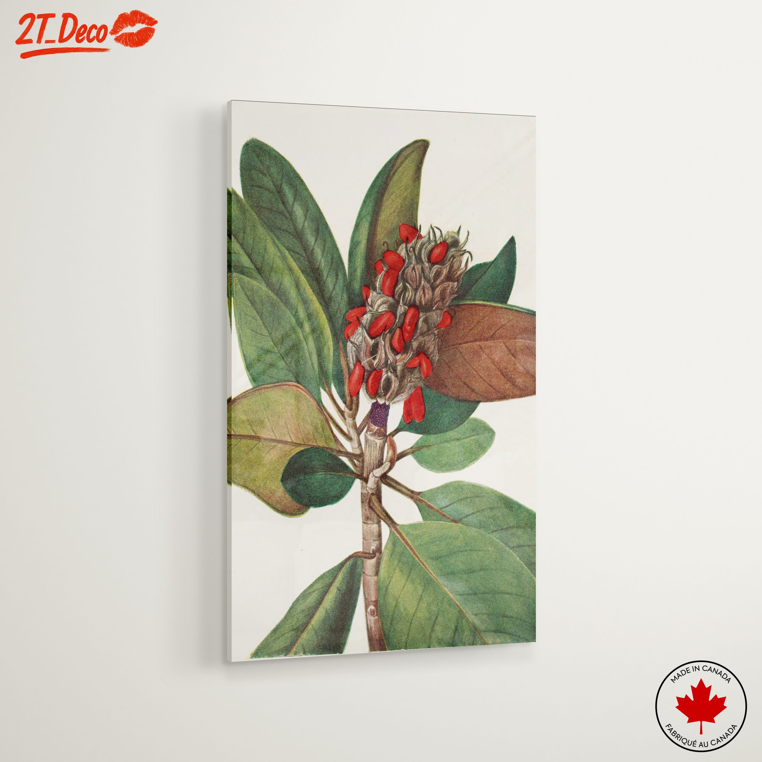 Beautiful Botanical Illustration of Leaves and Seeds - Image 6