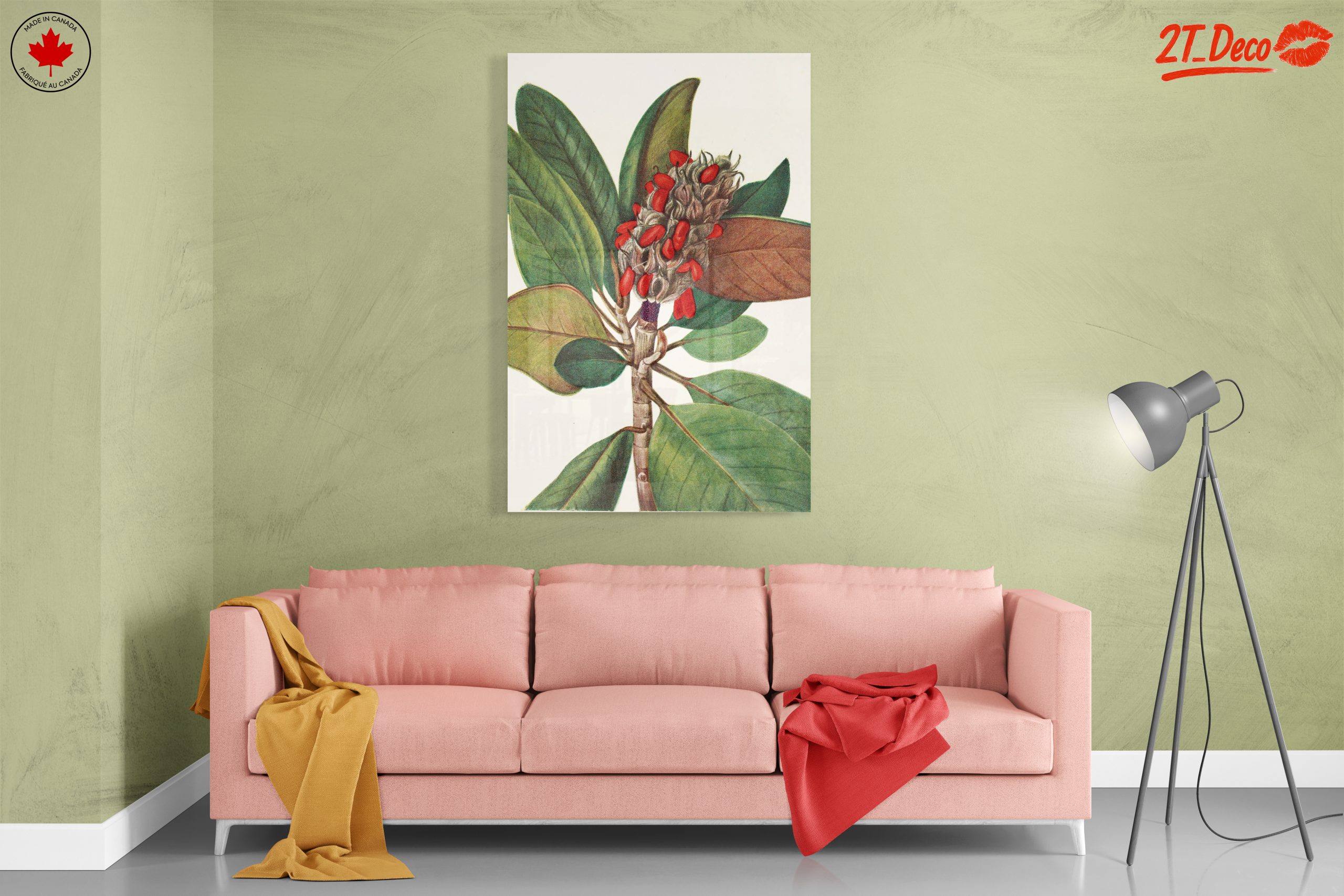 Beautiful Botanical Illustration of Leaves and Seeds - Image 7