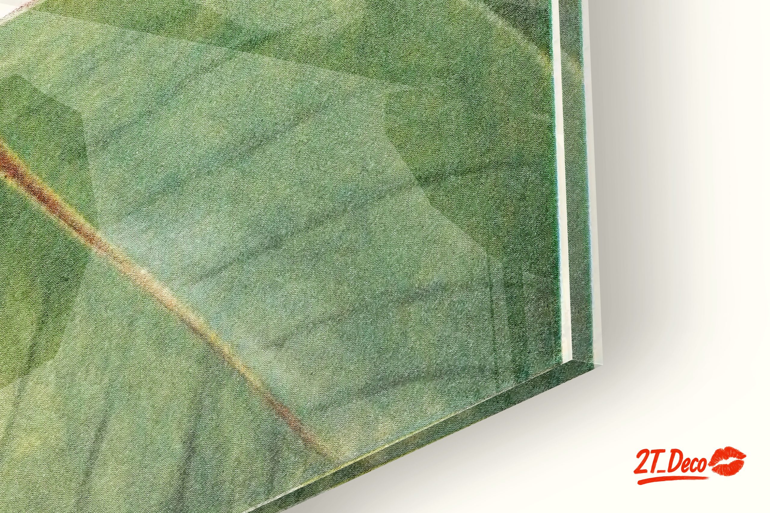 Beautiful Botanical Illustration of Leaves and Seeds - Image 9