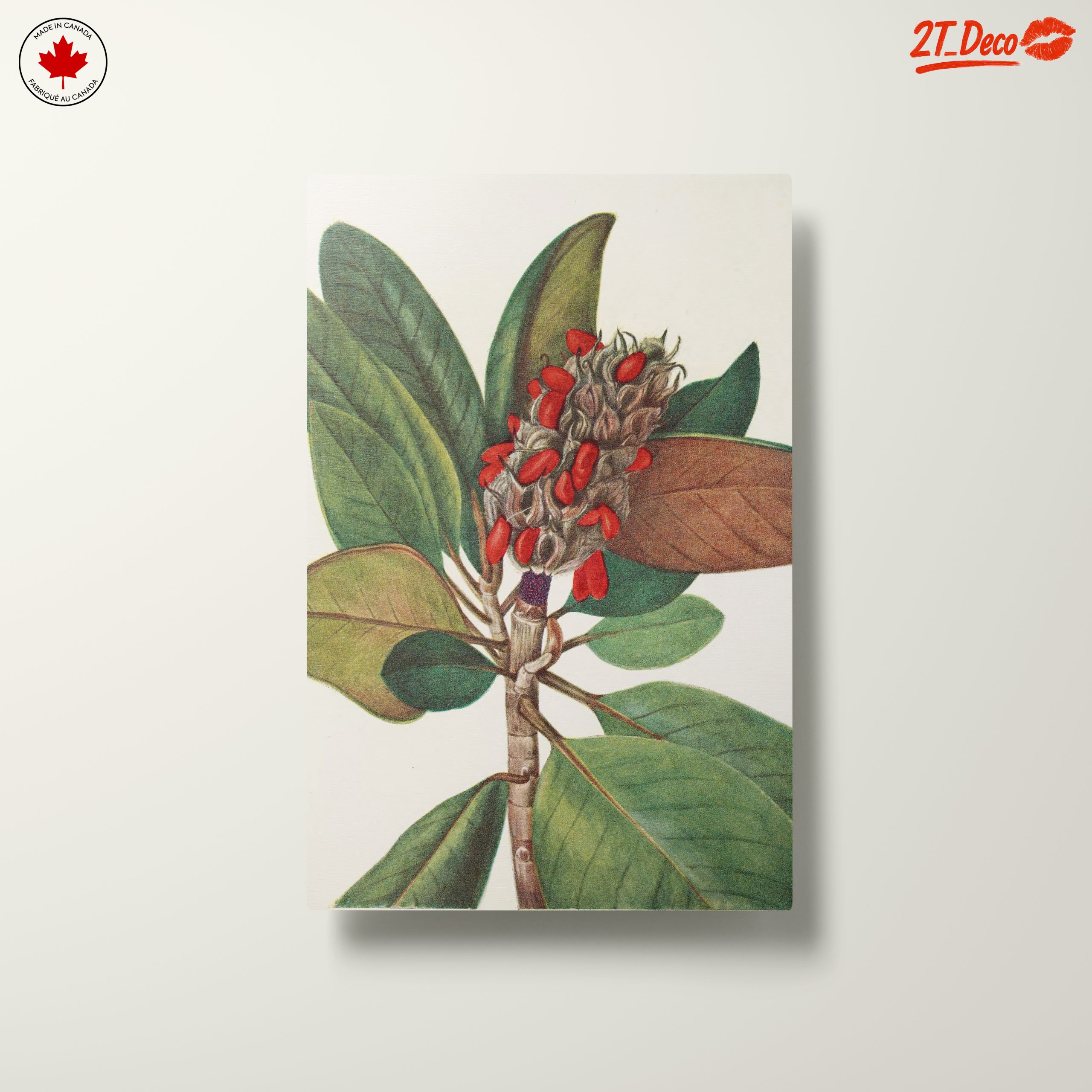 Beautiful Botanical Illustration of Leaves and Seeds - Image 10