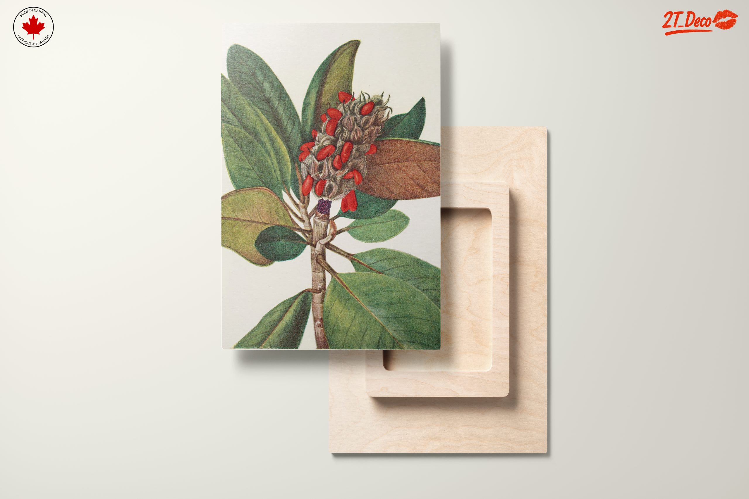 Beautiful Botanical Illustration of Leaves and Seeds - Image 11