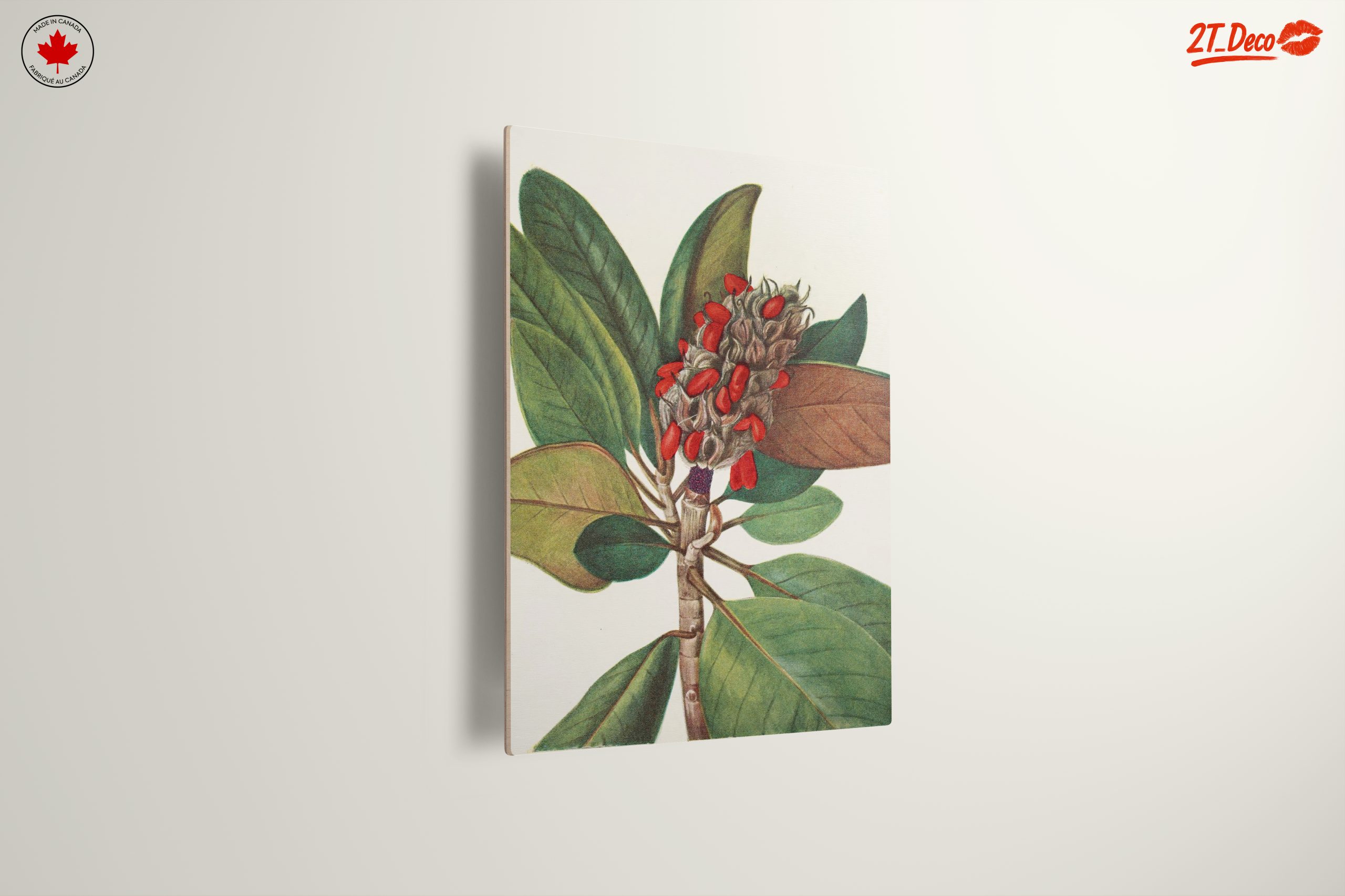 Beautiful Botanical Illustration of Leaves and Seeds - Image 13