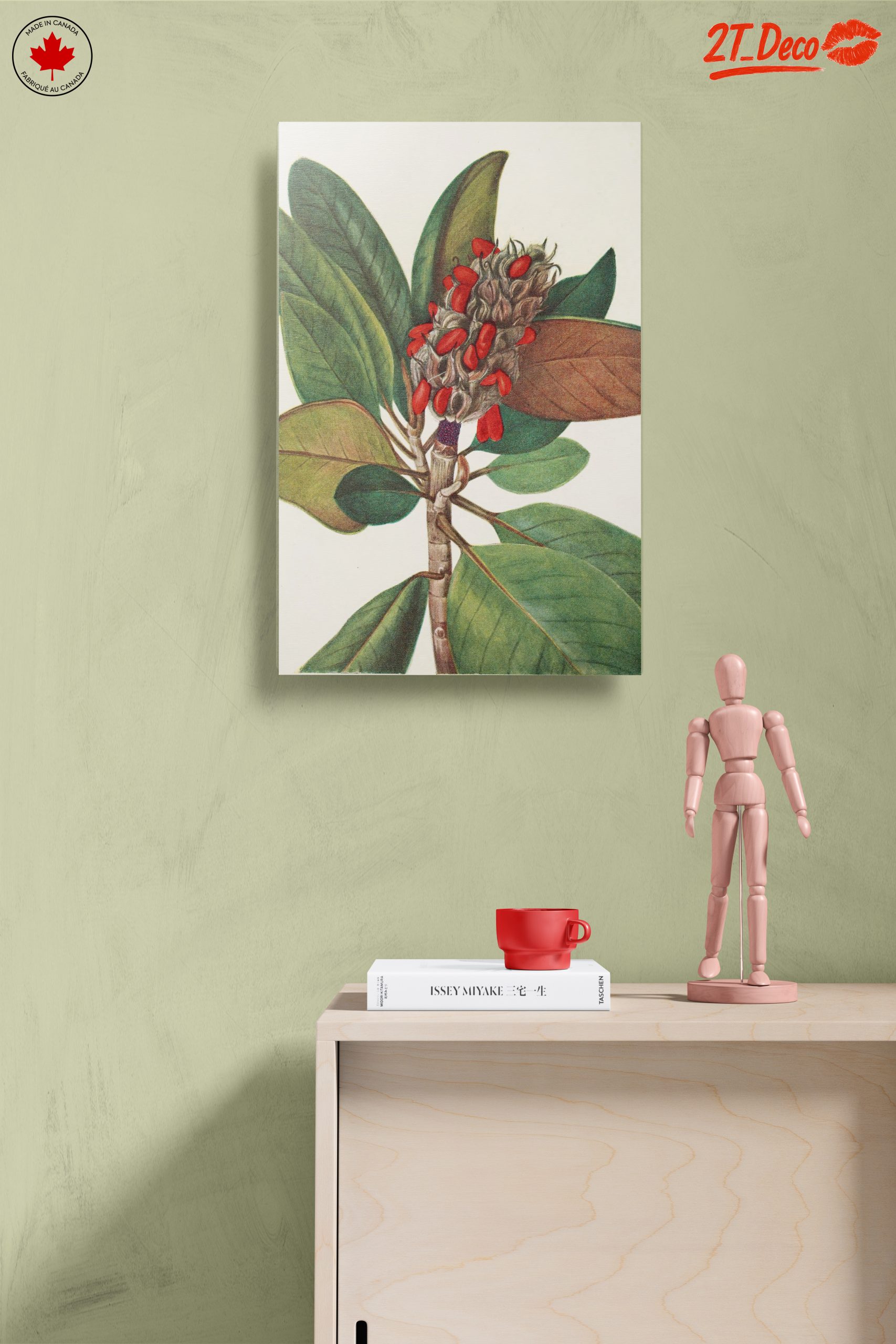 Beautiful Botanical Illustration of Leaves and Seeds - Image 14