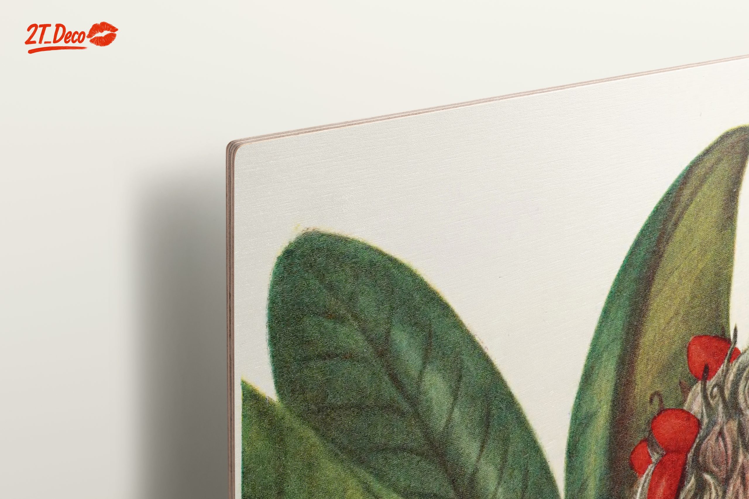 Beautiful Botanical Illustration of Leaves and Seeds - Image 15