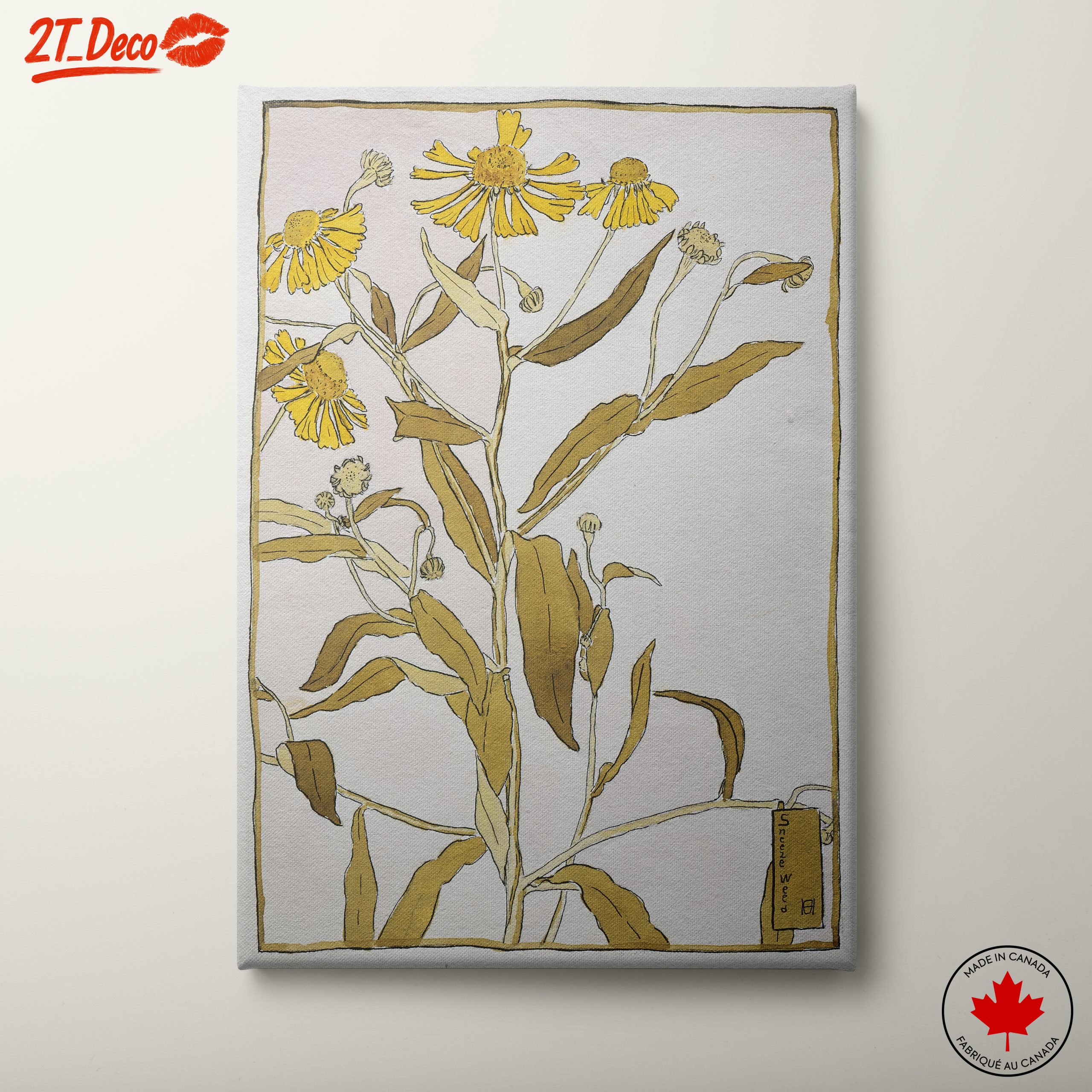 Sneezeweed Botanical Artwork