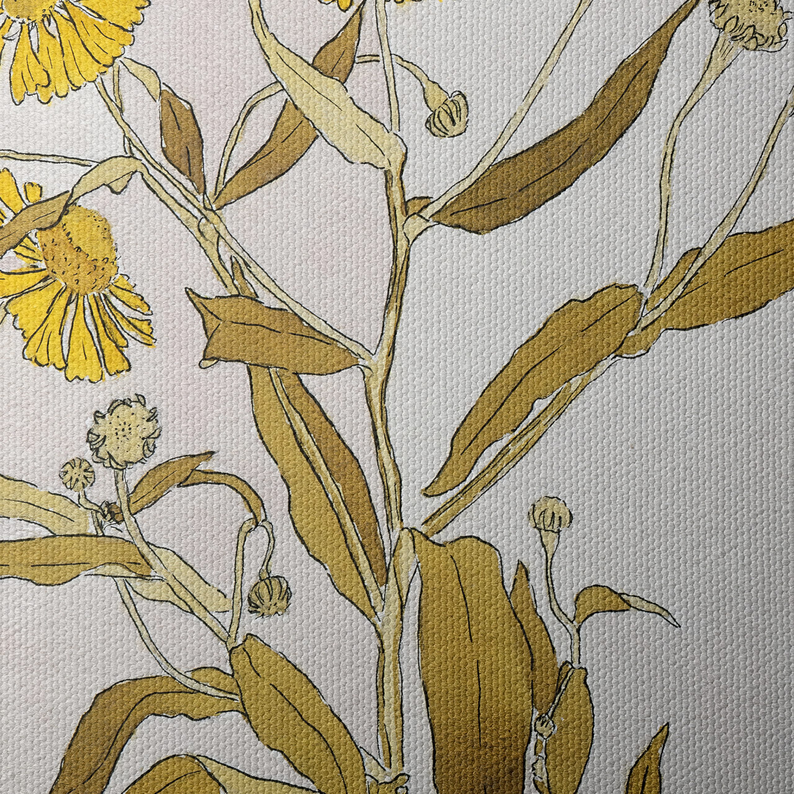 Sneezeweed Botanical Artwork - Image 4