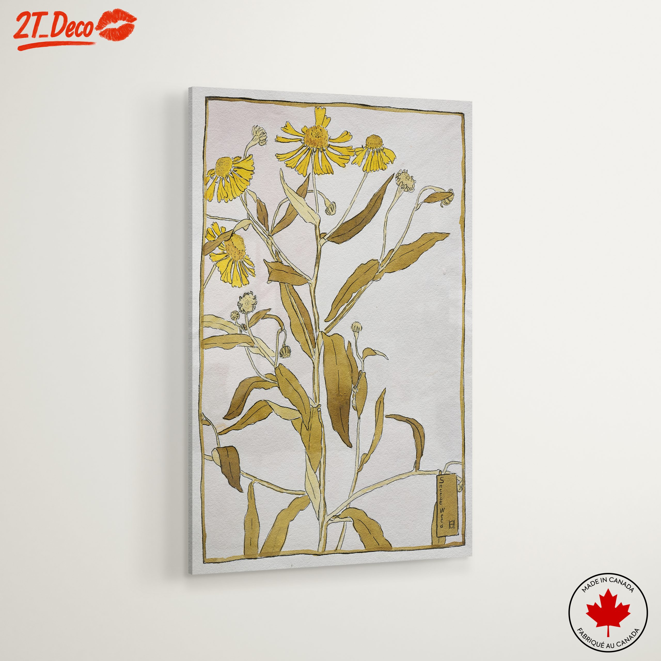 Sneezeweed Botanical Artwork - Image 6