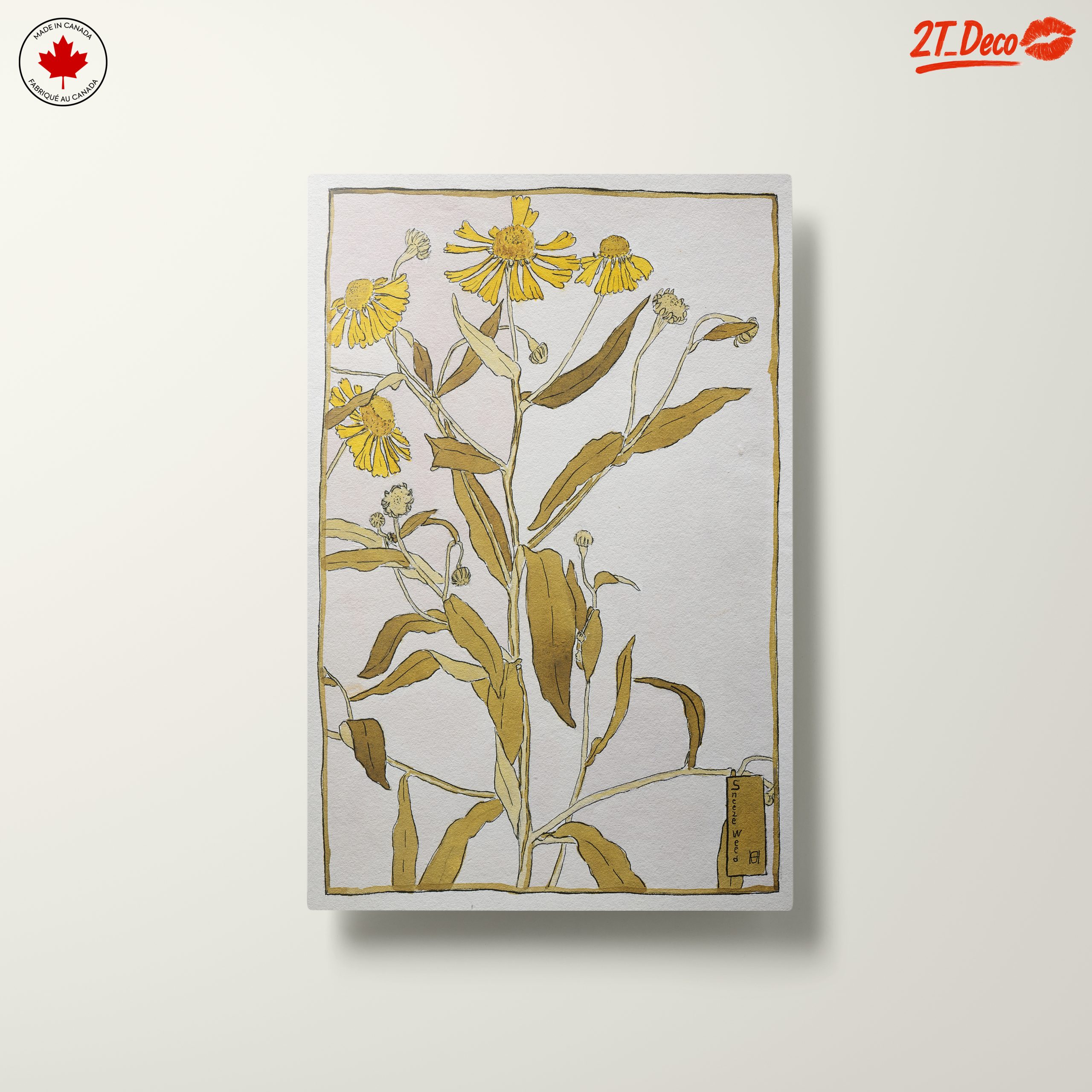 Sneezeweed Botanical Artwork - Image 10