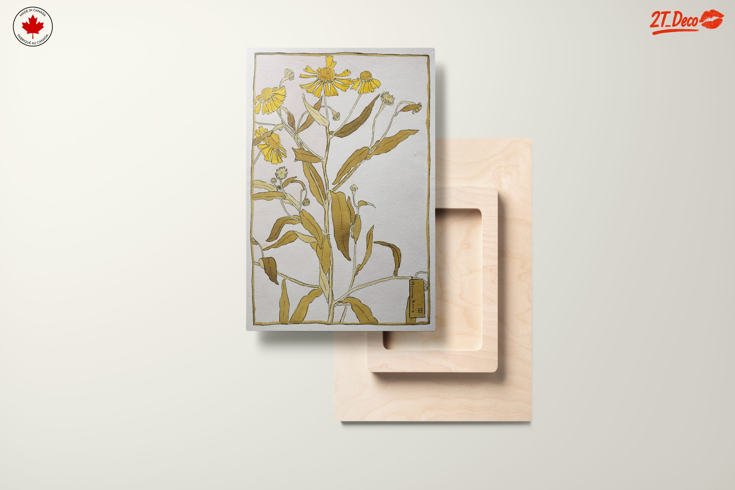 Sneezeweed Botanical Artwork - Image 11