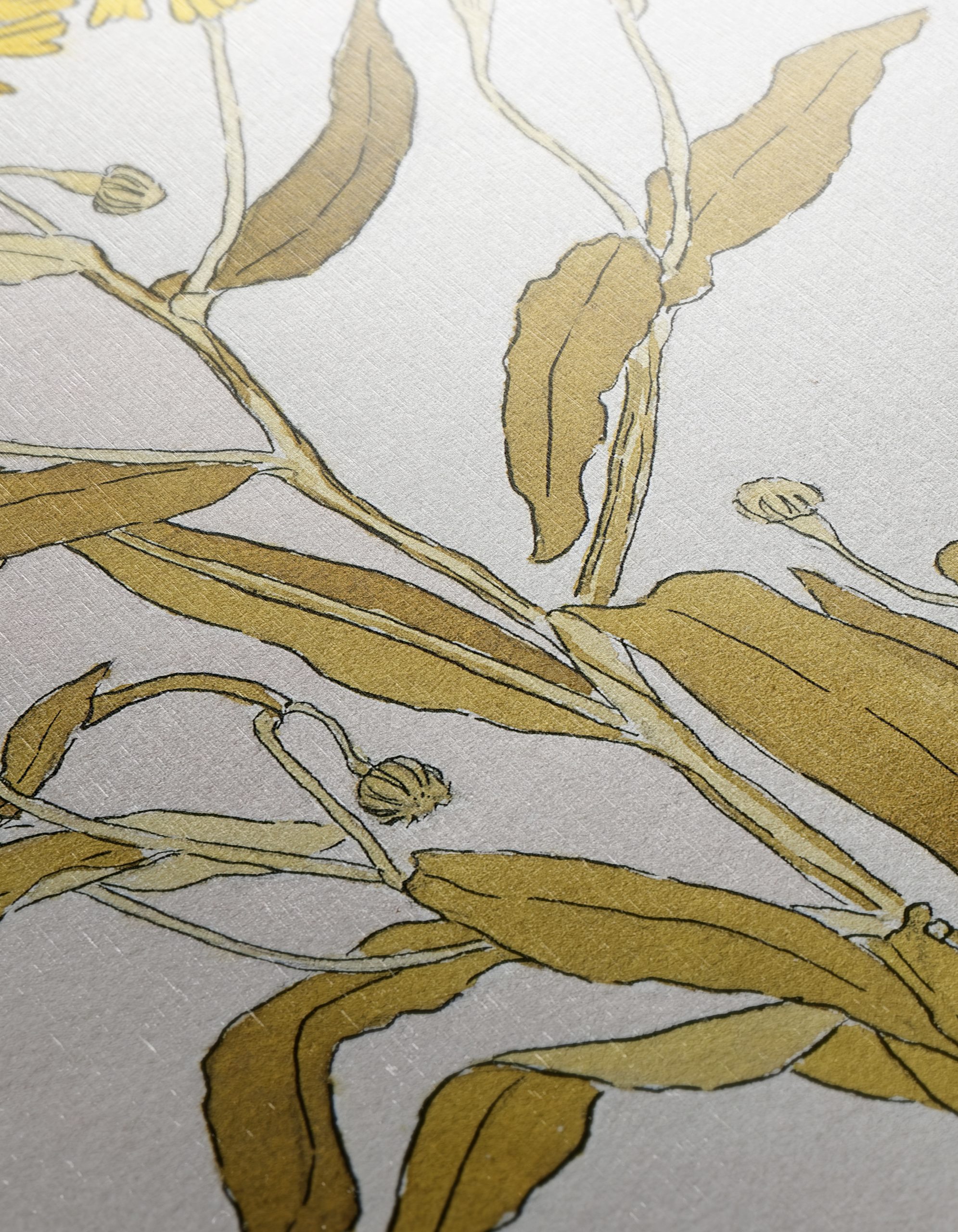Sneezeweed Botanical Artwork - Image 12