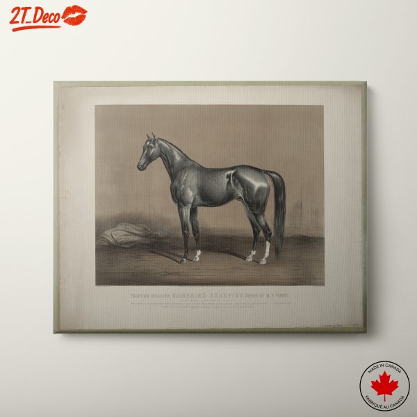 Majestic Horse Portrait in Vintage Style