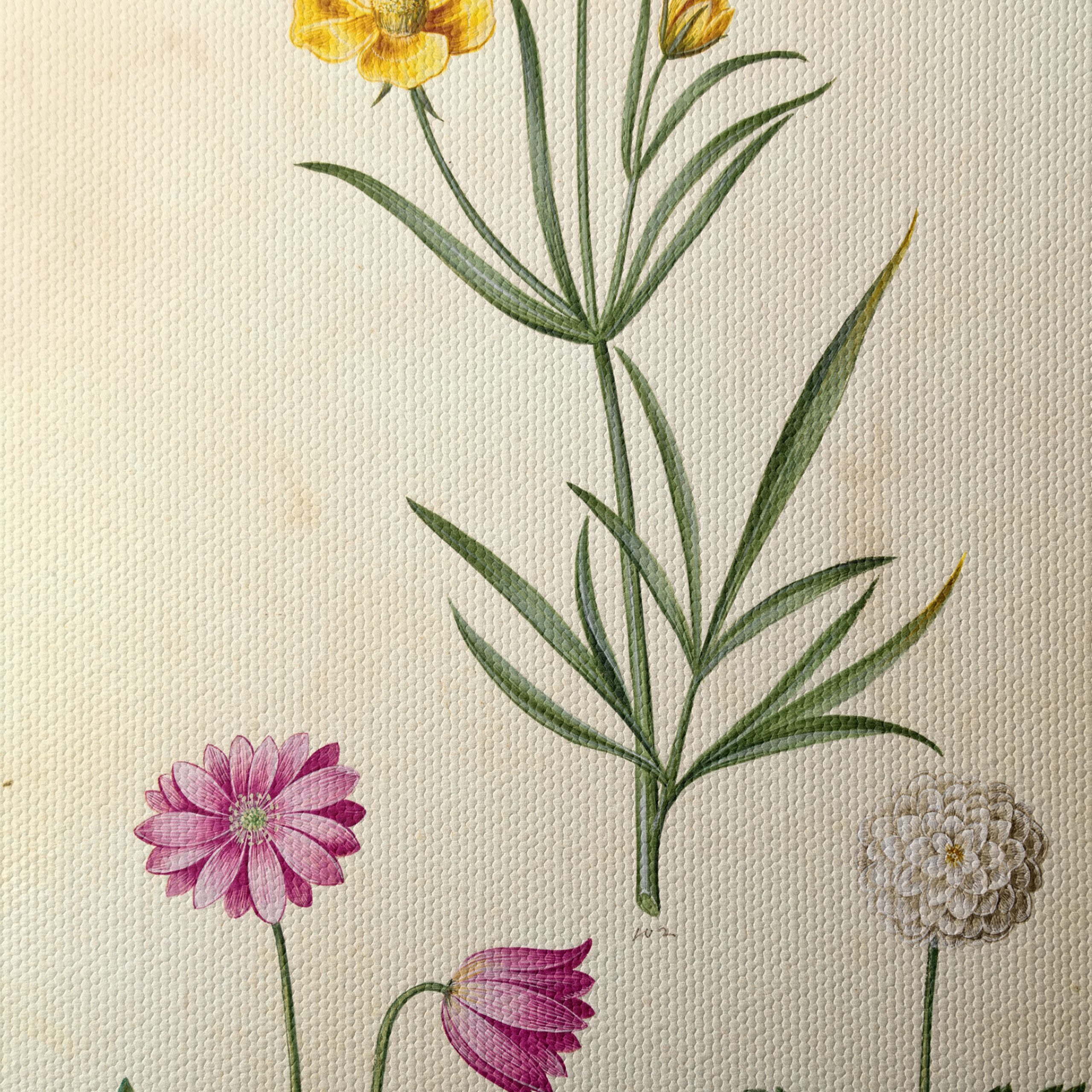Illustration of Beautiful Botanical Flowers - Image 4