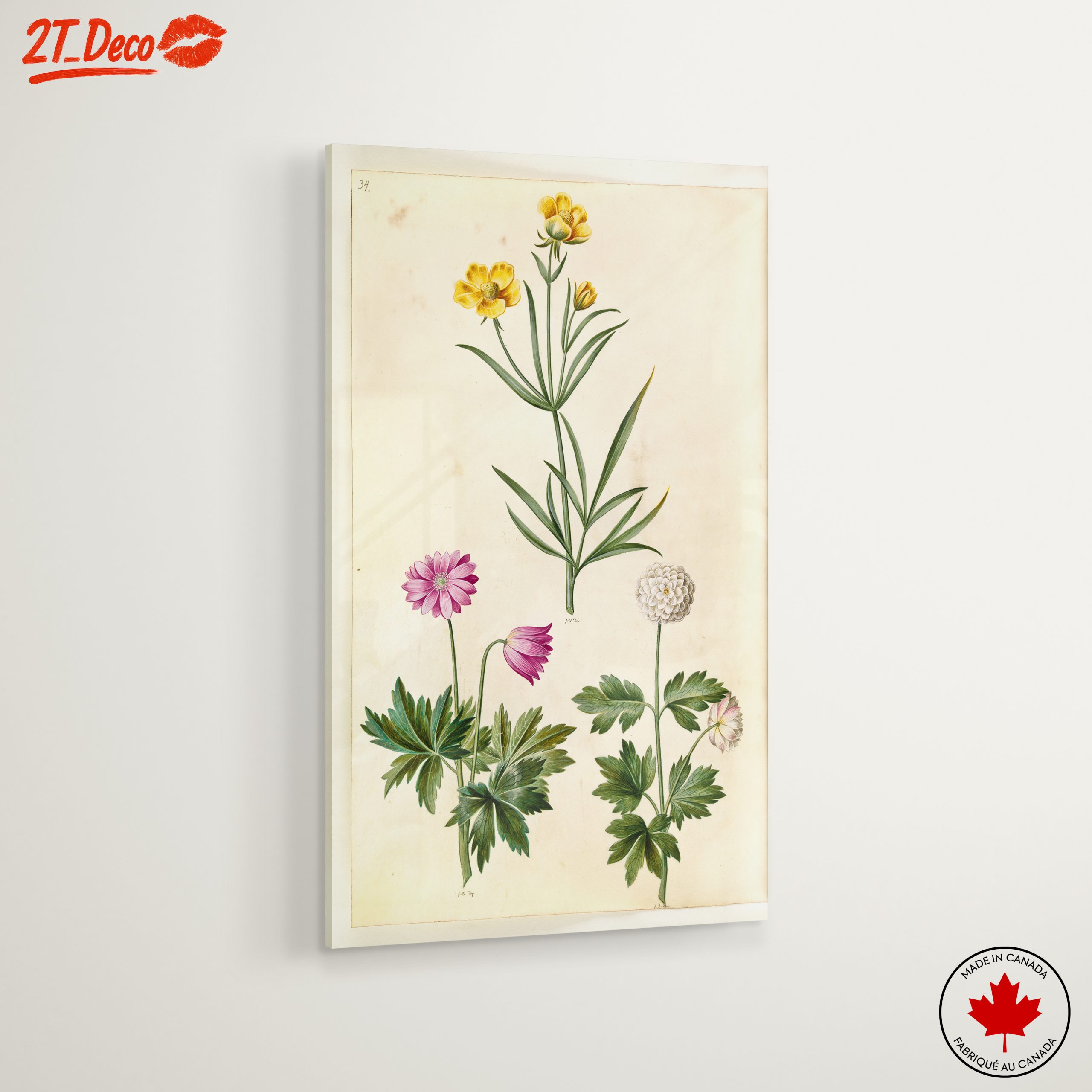 Illustration of Beautiful Botanical Flowers - Image 6