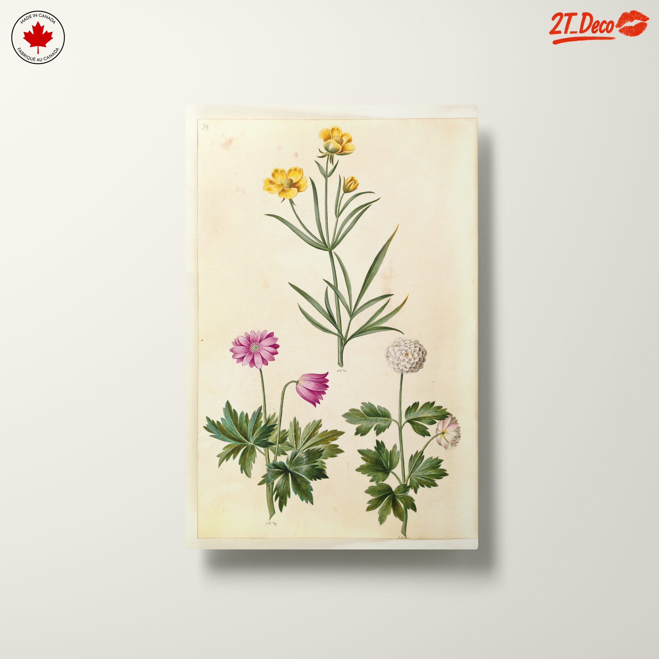 Illustration of Beautiful Botanical Flowers - Image 10