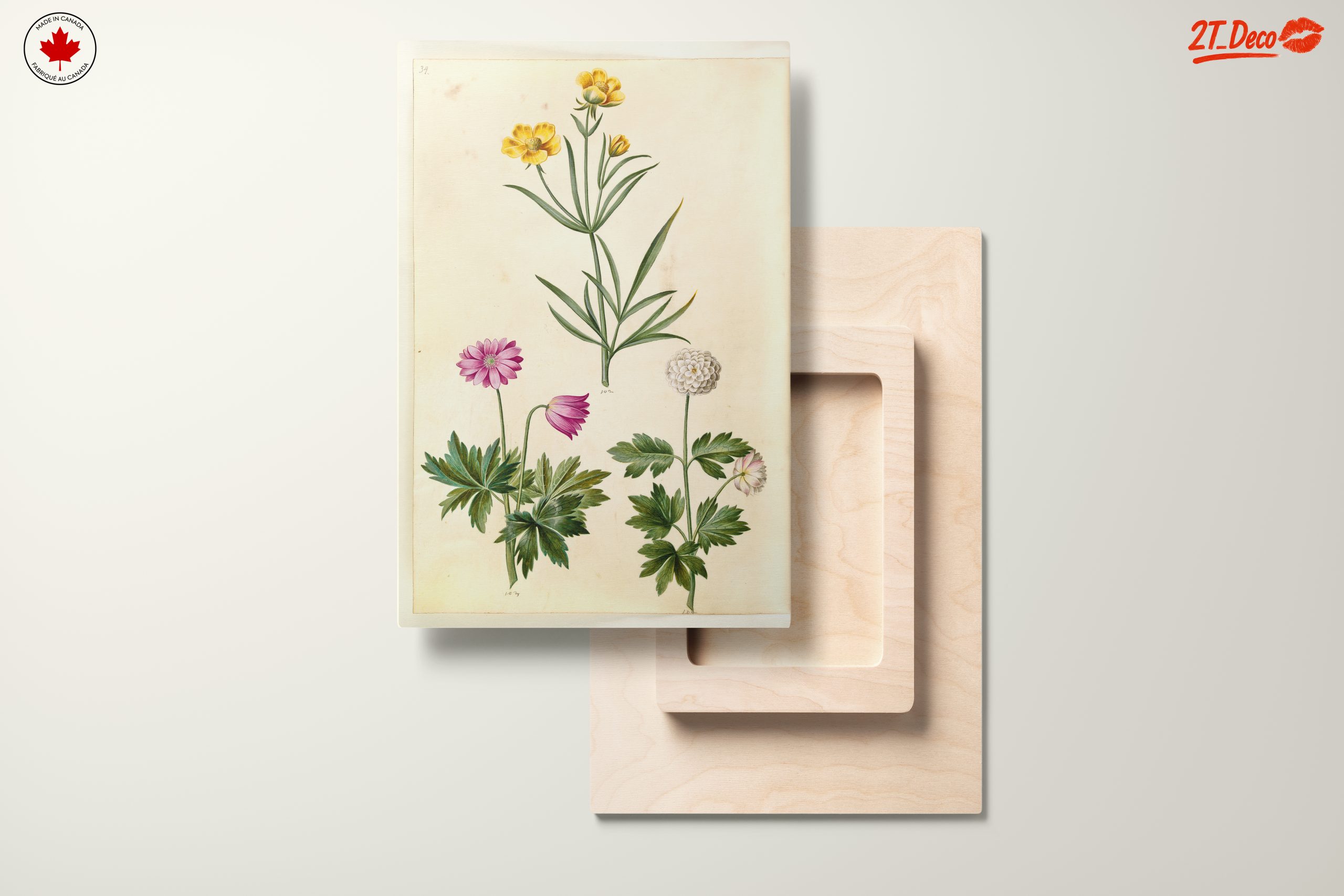 Illustration of Beautiful Botanical Flowers - Image 11